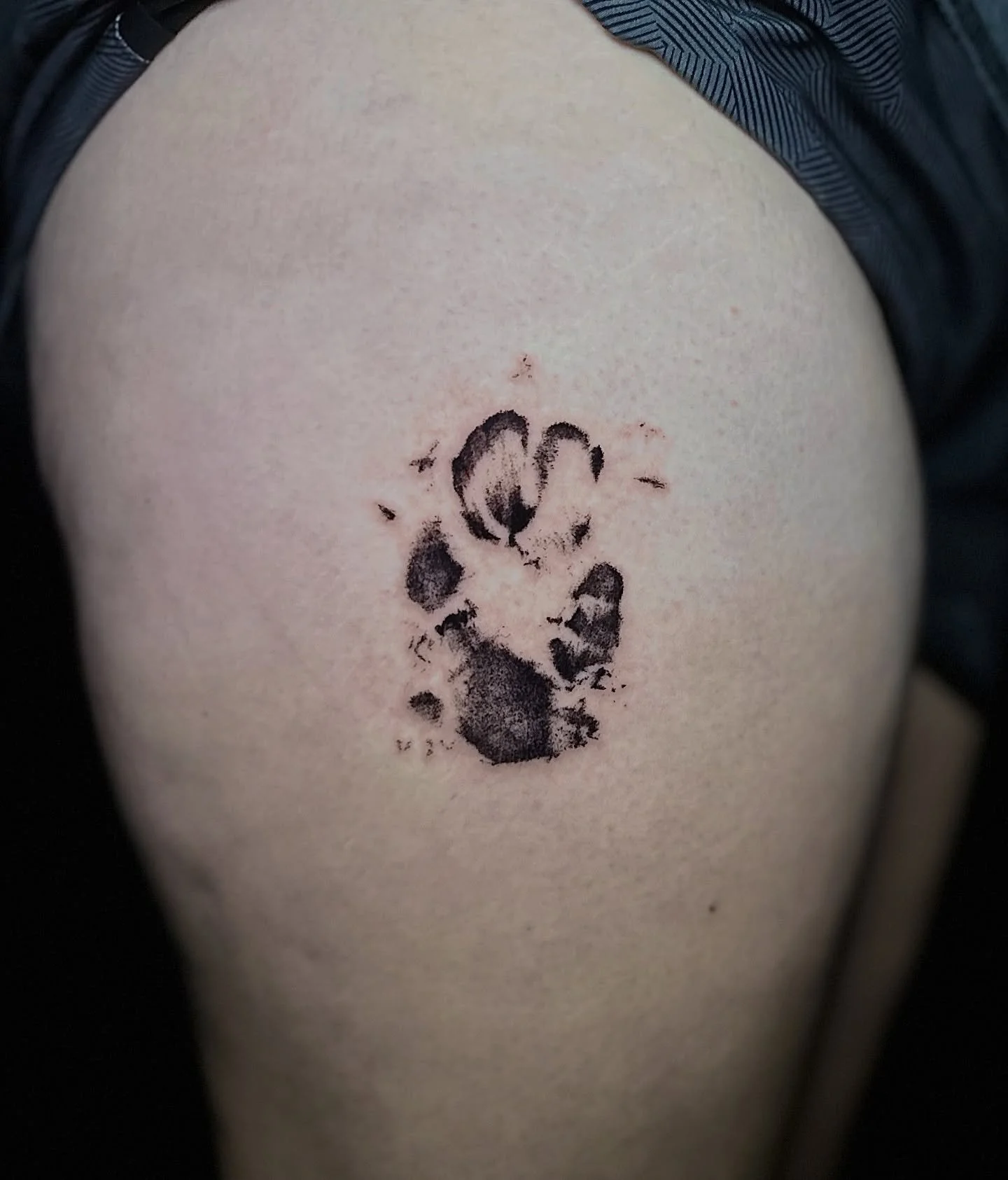 Ink paw print in black and grey 🐾 #easytigerslc
.
.
#slctattooartist #utahtattooartist #pawprinttattoo #pawprints #stippletattoo #fineline