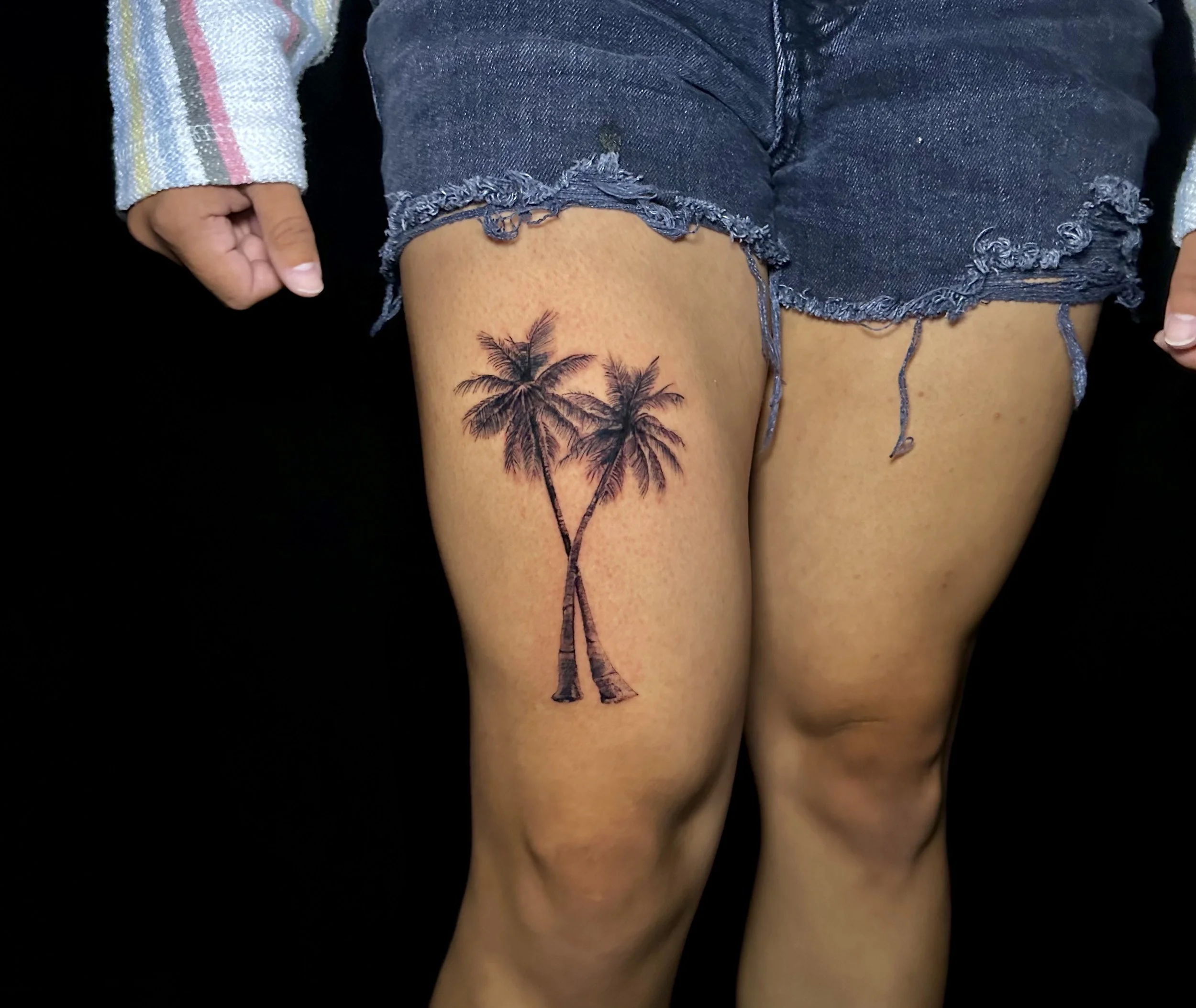 Palm Trees.jpg