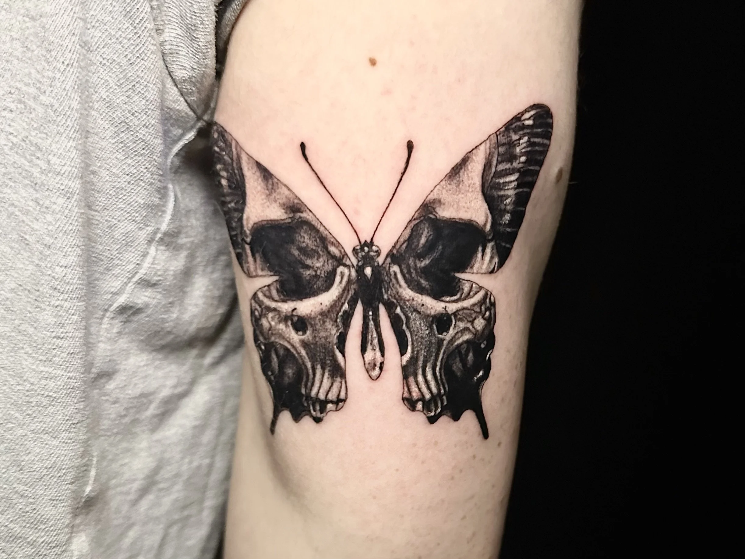 B and G Skull Butterfly.jpg