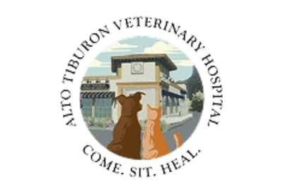 The logo of the League of Women Voters of Central Alamance features two dogs sitting in front of a building with a clock, with the organization’s name encircling the image.