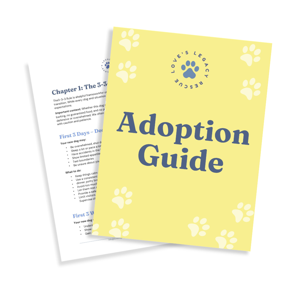 Dog adoption guide pamphlet with a light yellow cover, paw print design, and the title 'Adoption Guide' in bold blue lettering, along with a background page featuring text related to dog training rules.