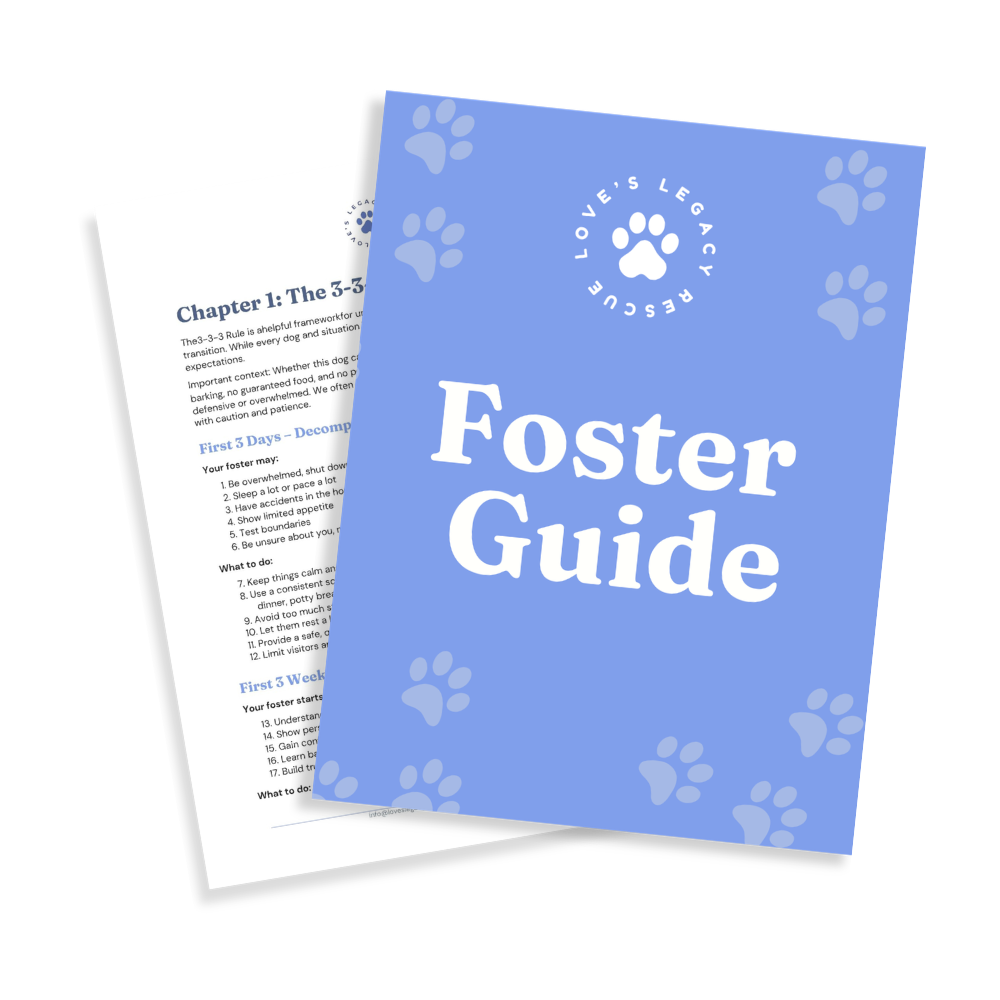 Blue foster care guide booklet with paw print graphics and white text that reads "Foster Guide" and "Love's Legacy Rescue".