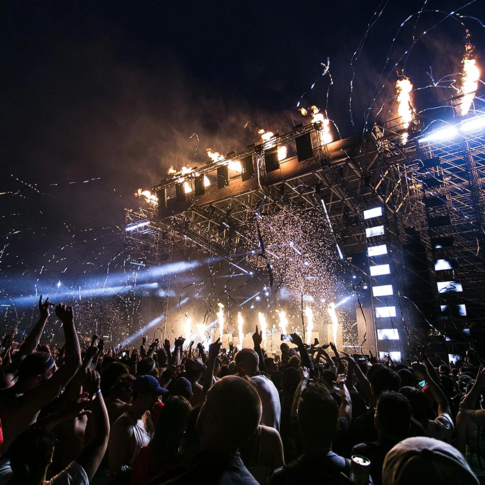 Concert crowd