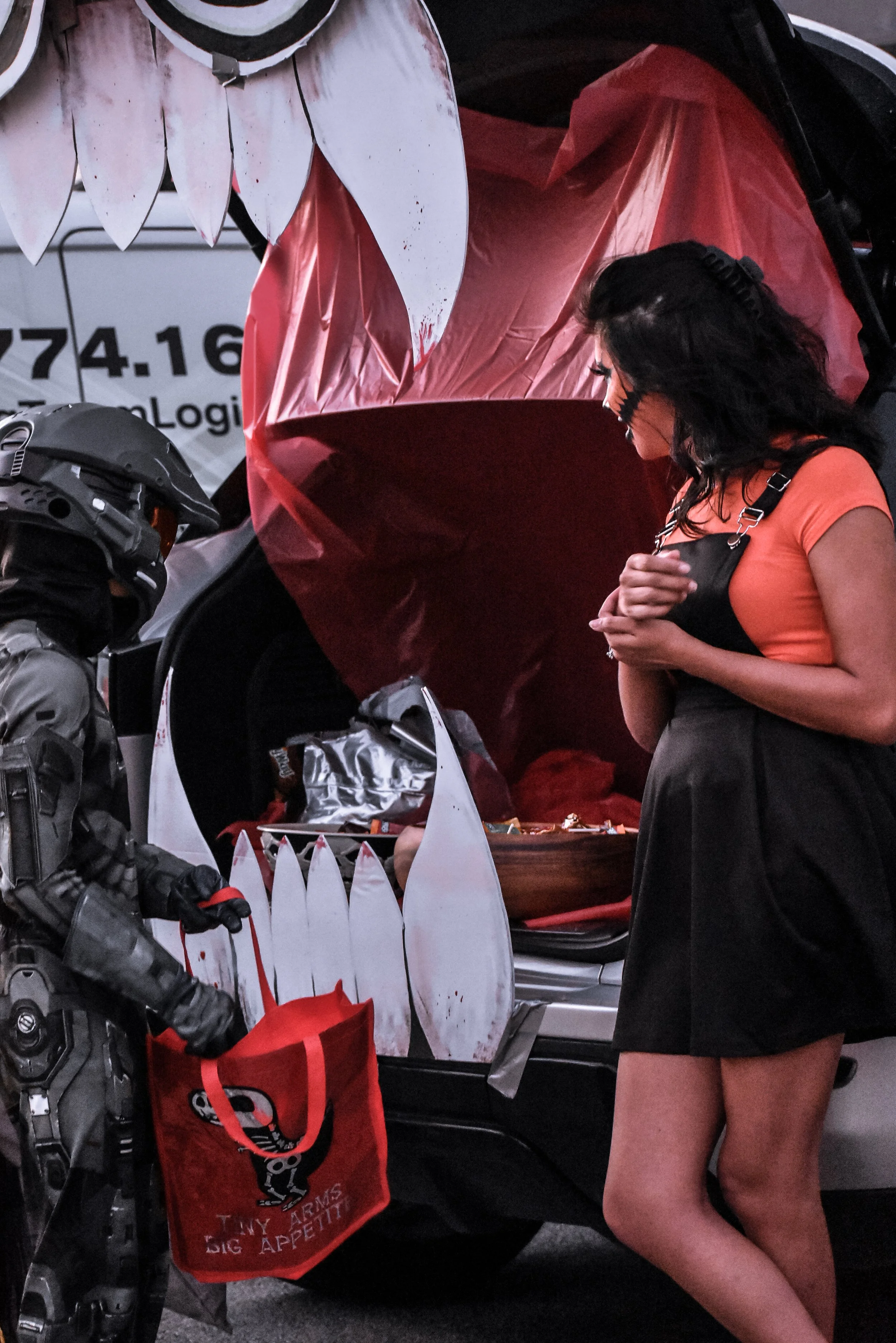 DSC_0381.jpg