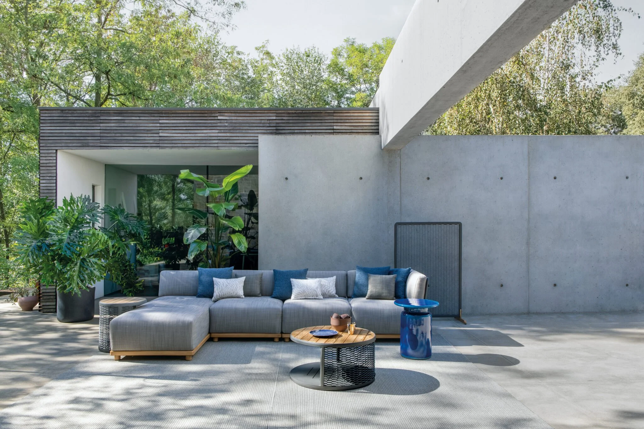 Create Your Outdoor Oasis with Wolf & South's Curated Collection