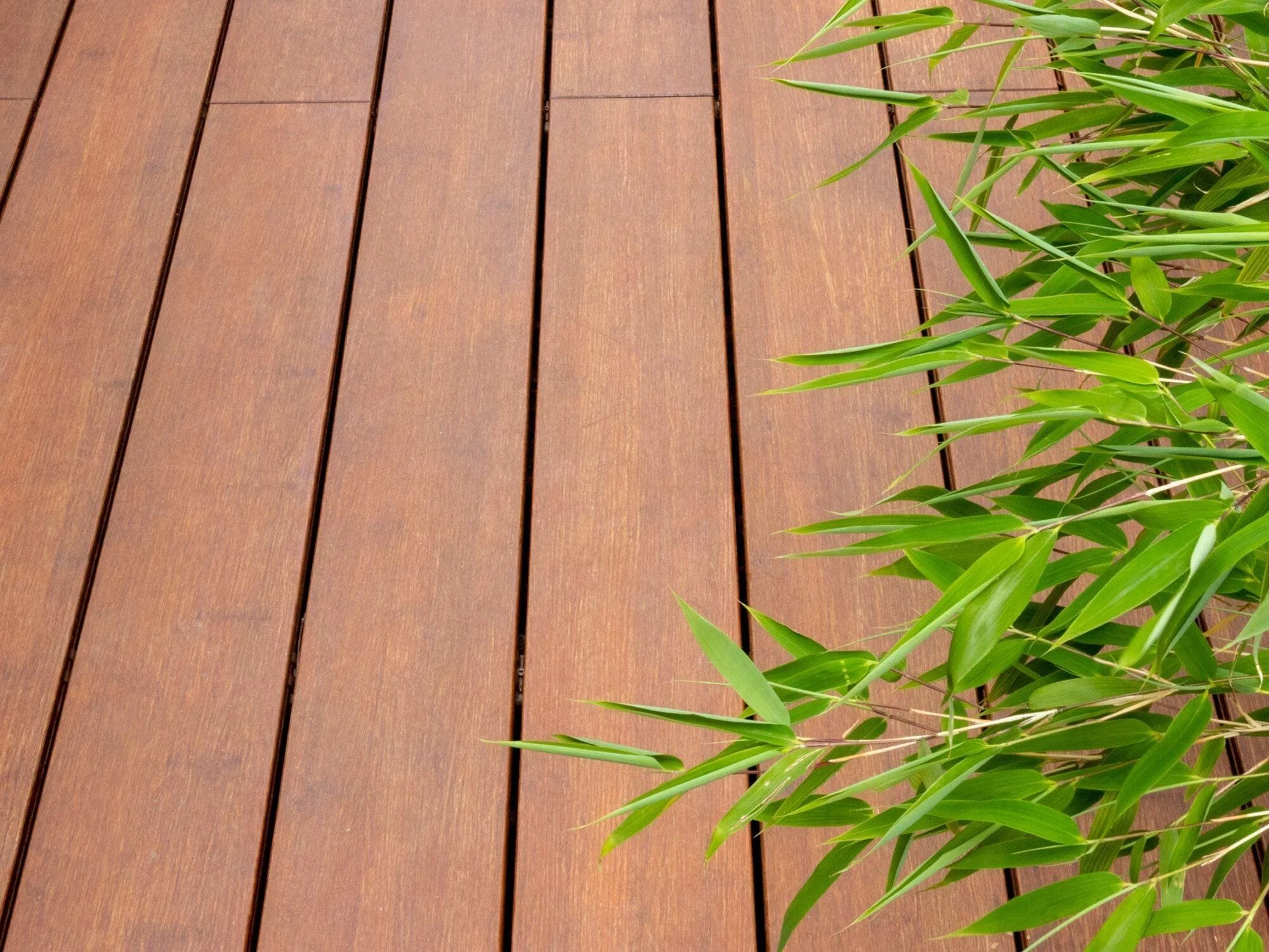 20210703-N-durance-oiled-teak-bamboo5-WEB-2000x1500-1.jpg