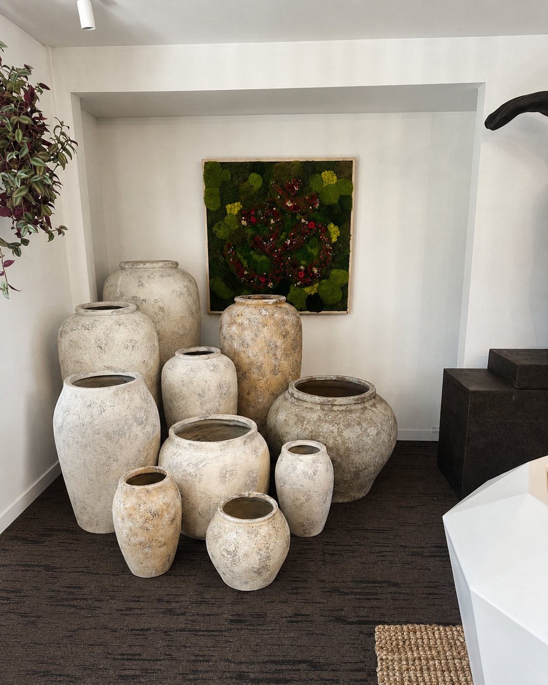 Dairy Flat Showroom with Moss feature.PNG