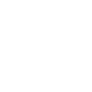 BUILDSPACE WHITE LOGO.png