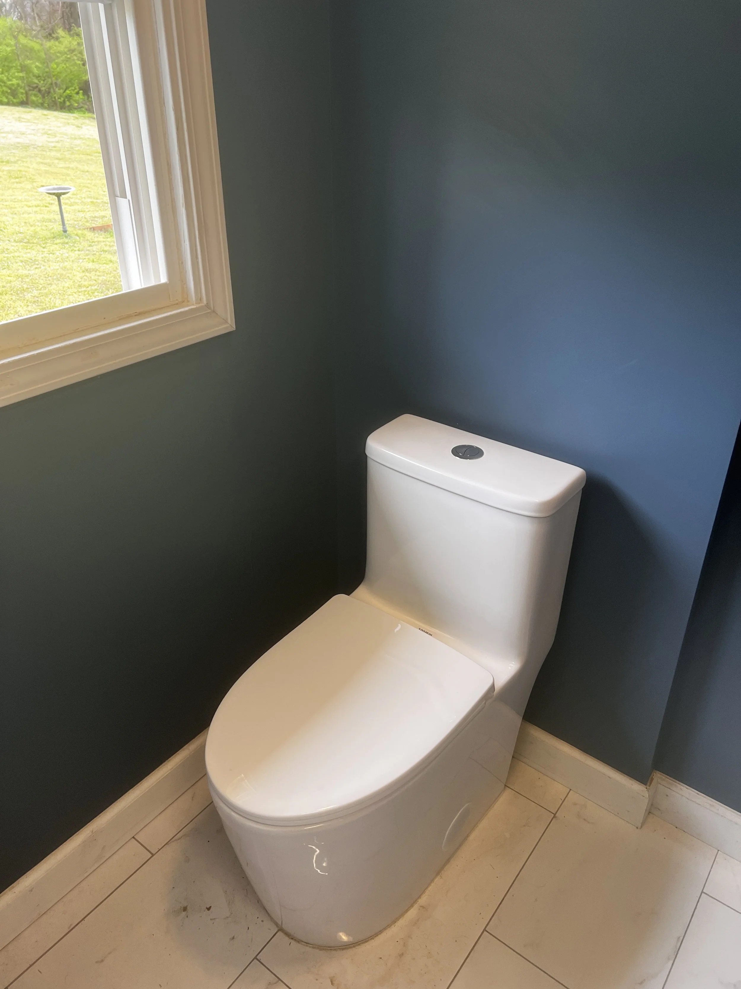 Blue Bathroom Toilet After (Slaughter).JPG