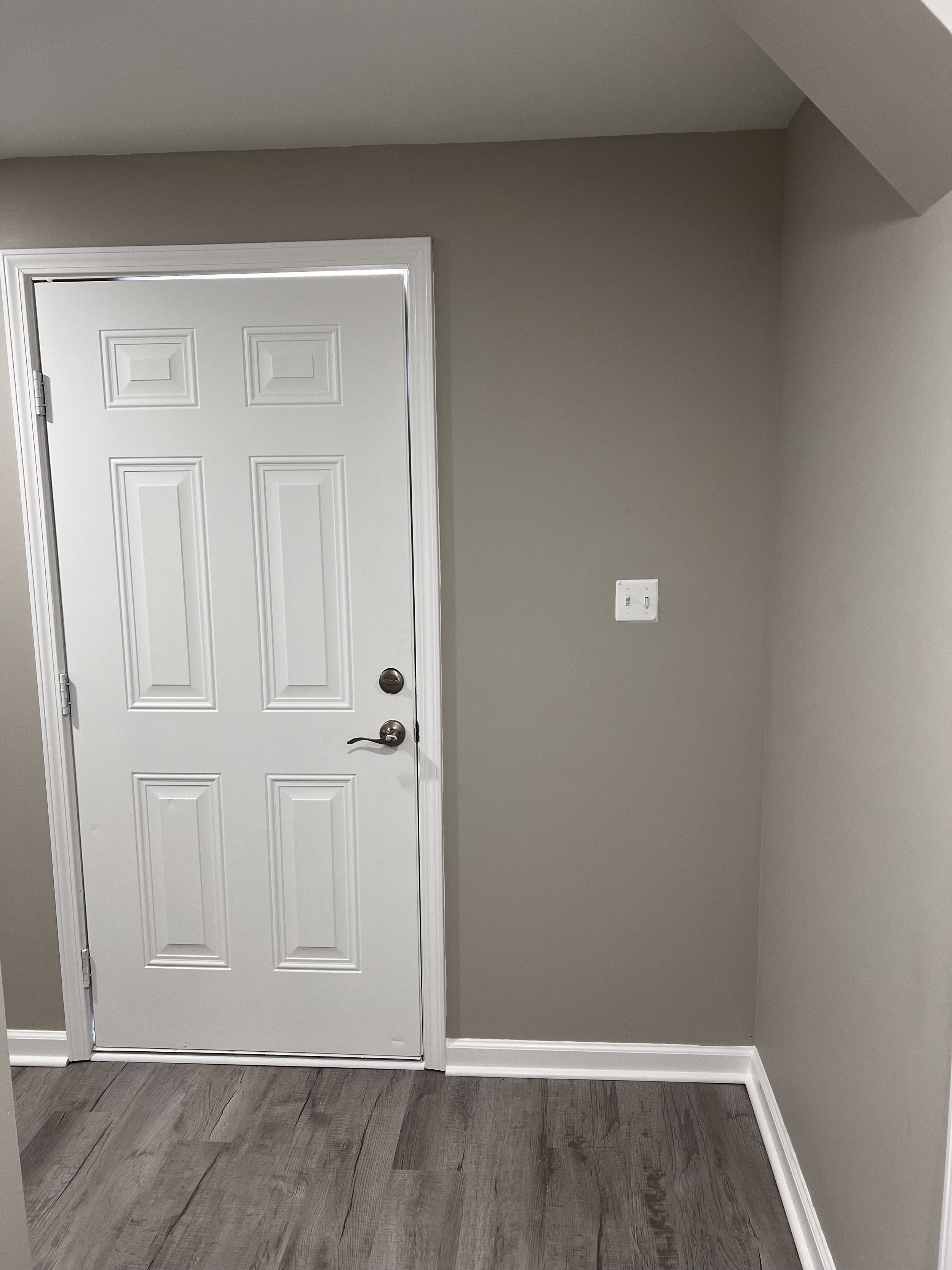 Basement Door After (McClanahan).jpeg