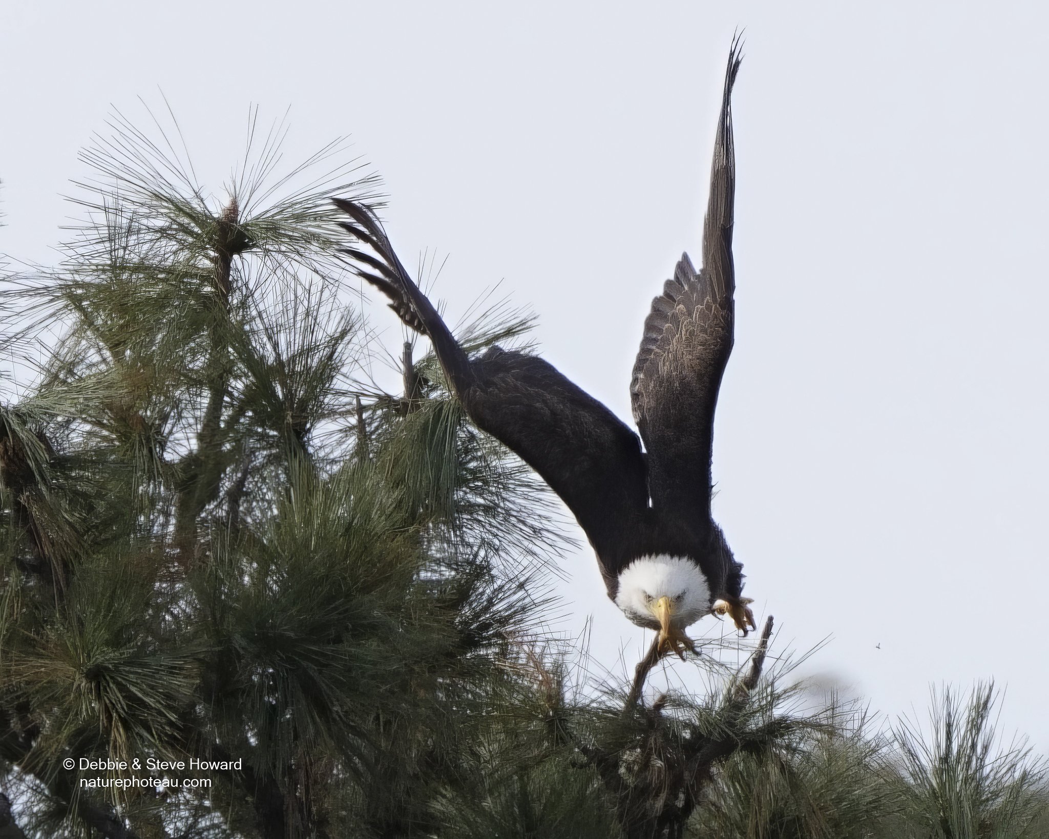 Eagle Nest at Lake Hemet