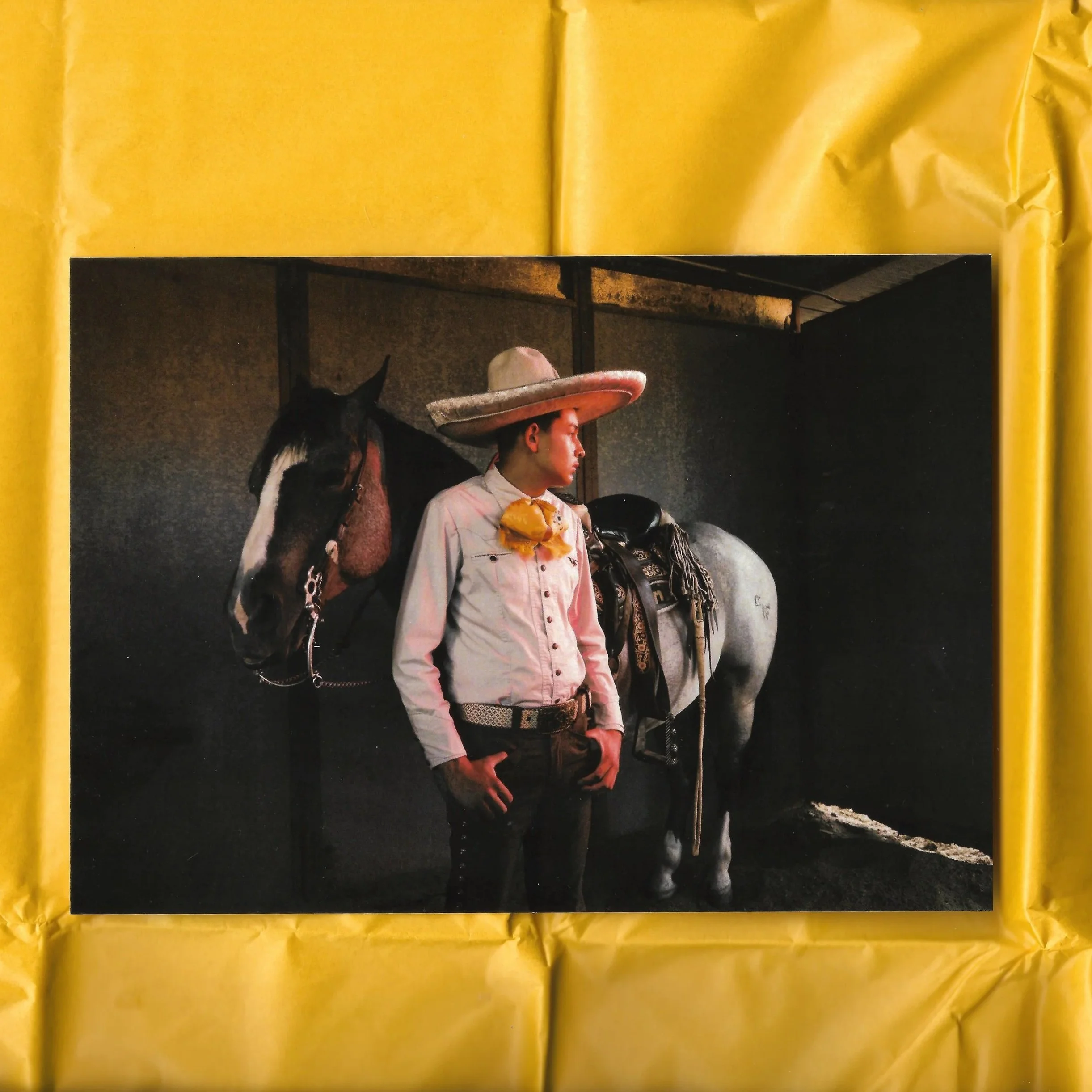 Alejandro+Postcard.jpg