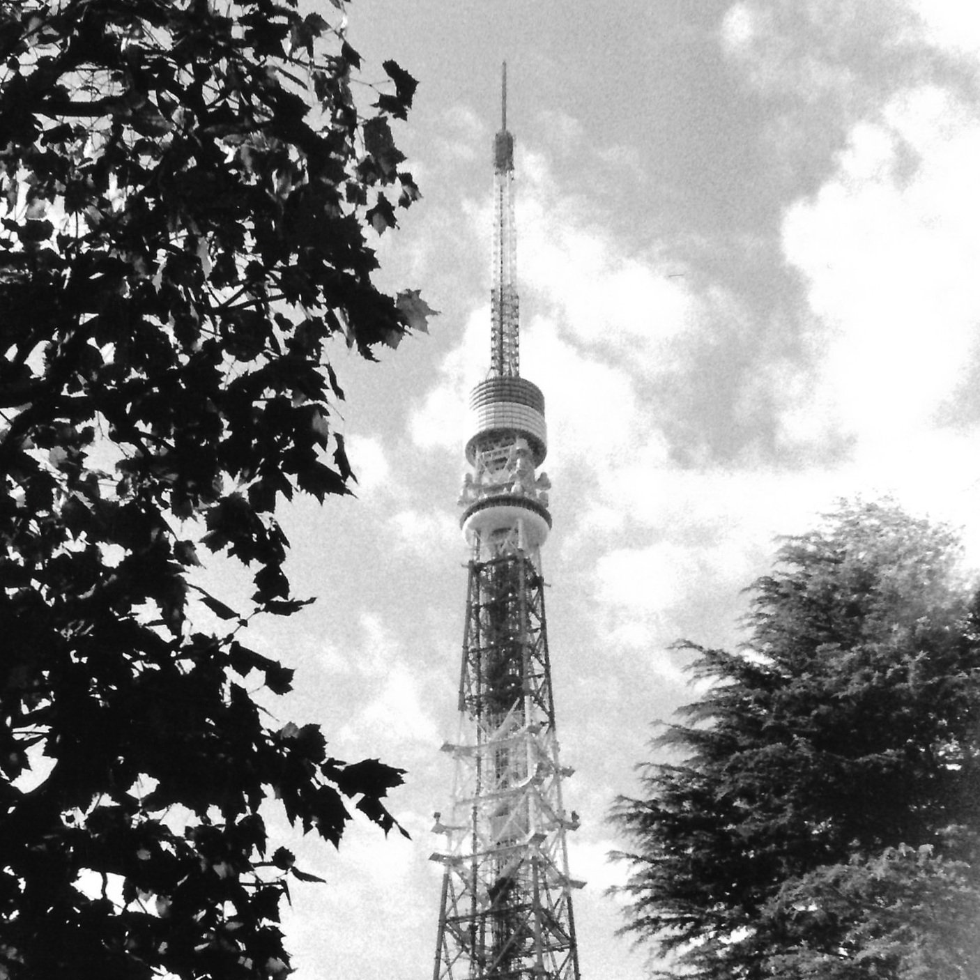 BrassTuna in Japan : On Film
