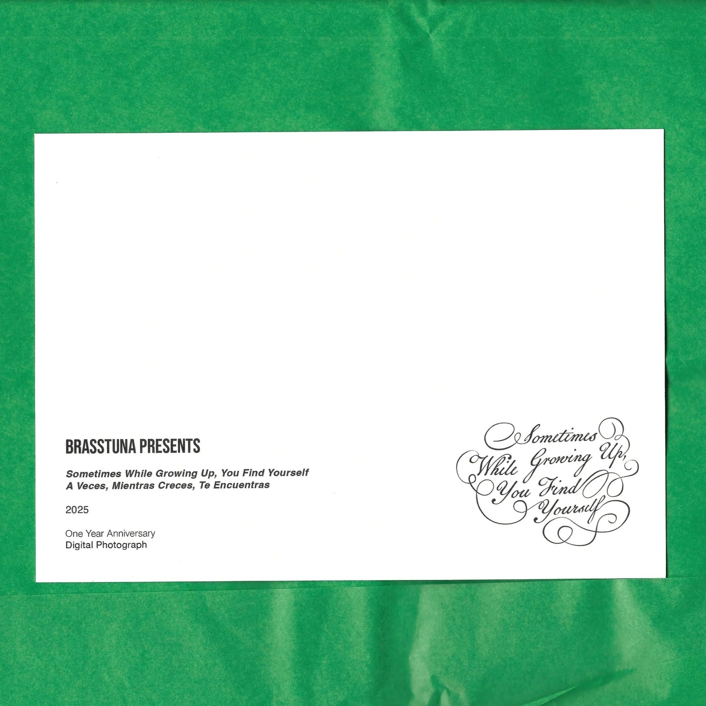 Gaby+Postcard+1.jpg
