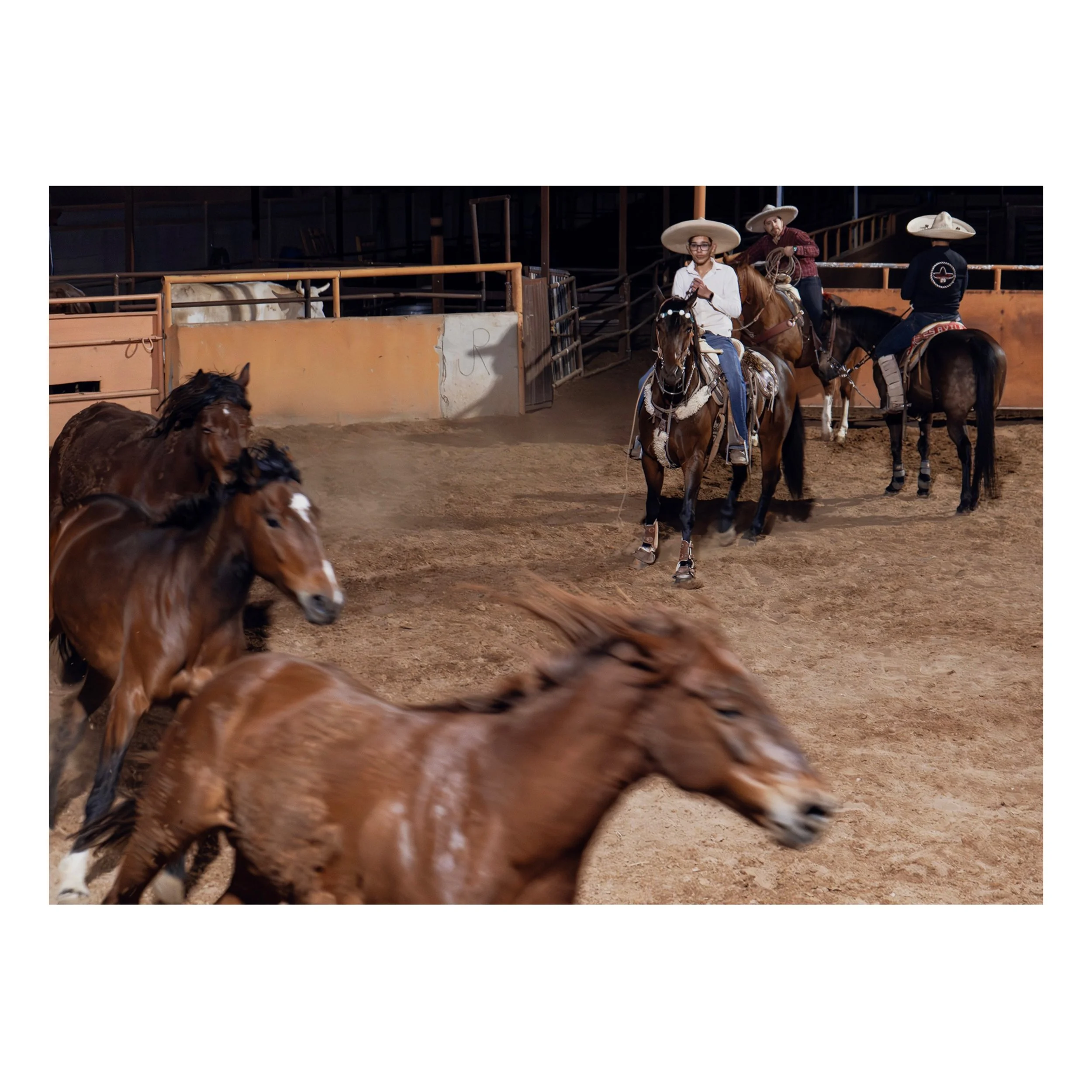 Un-Used Exhibition Image , March 2025