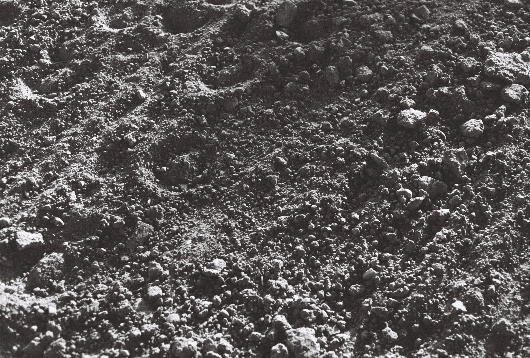 Soil and Soul: Materials of Memory in South Phoenix