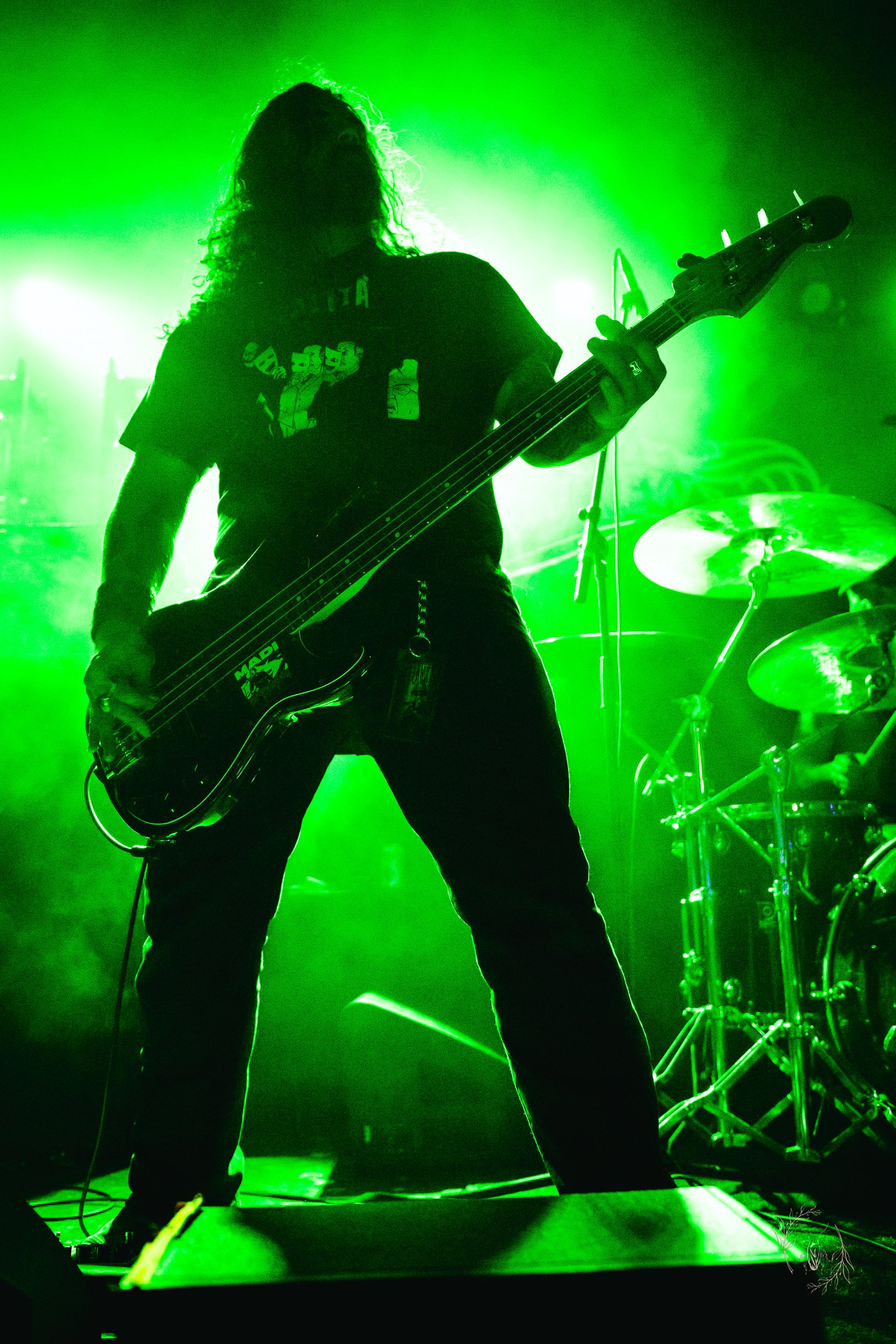 CreepingDeath.Detroit.RoamingRoach-01.jpg