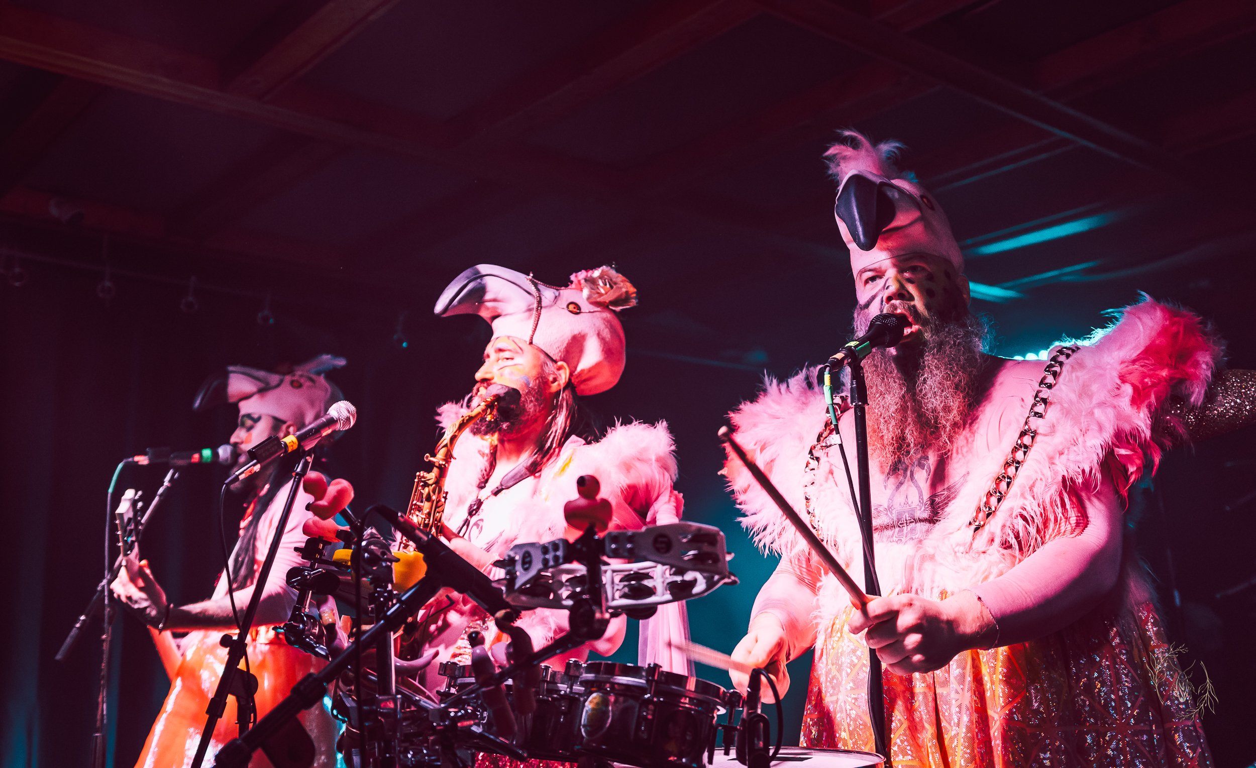 TrollfestDetroitRRP-40.jpg