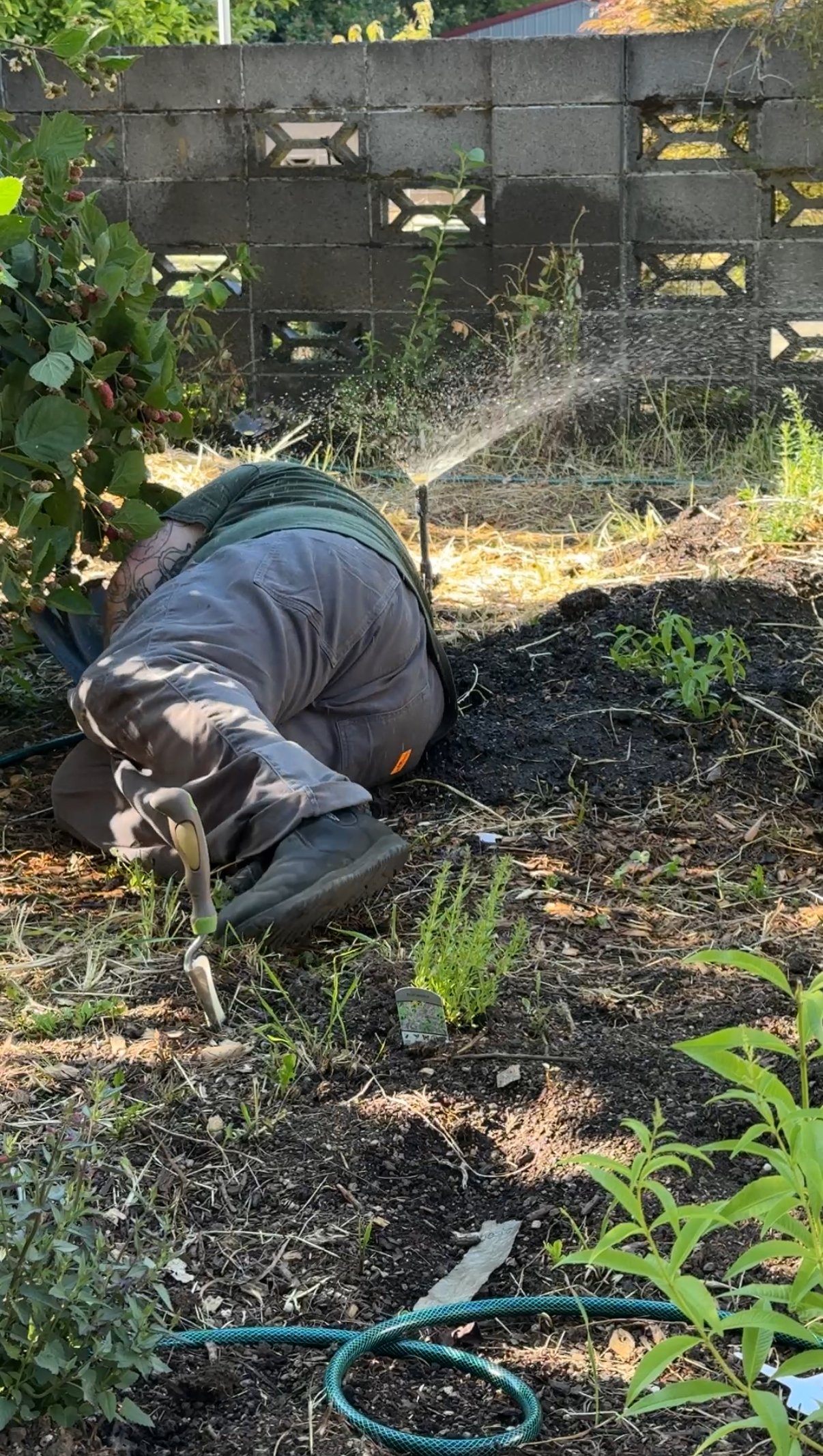 On Being Terrible at Gardening