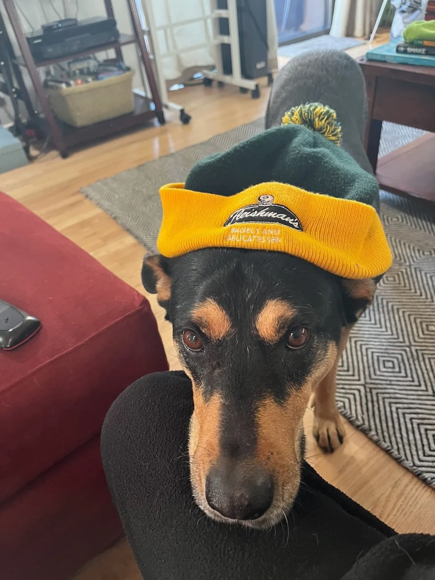 Scout - Fleishmans Unofficial Mascot.png