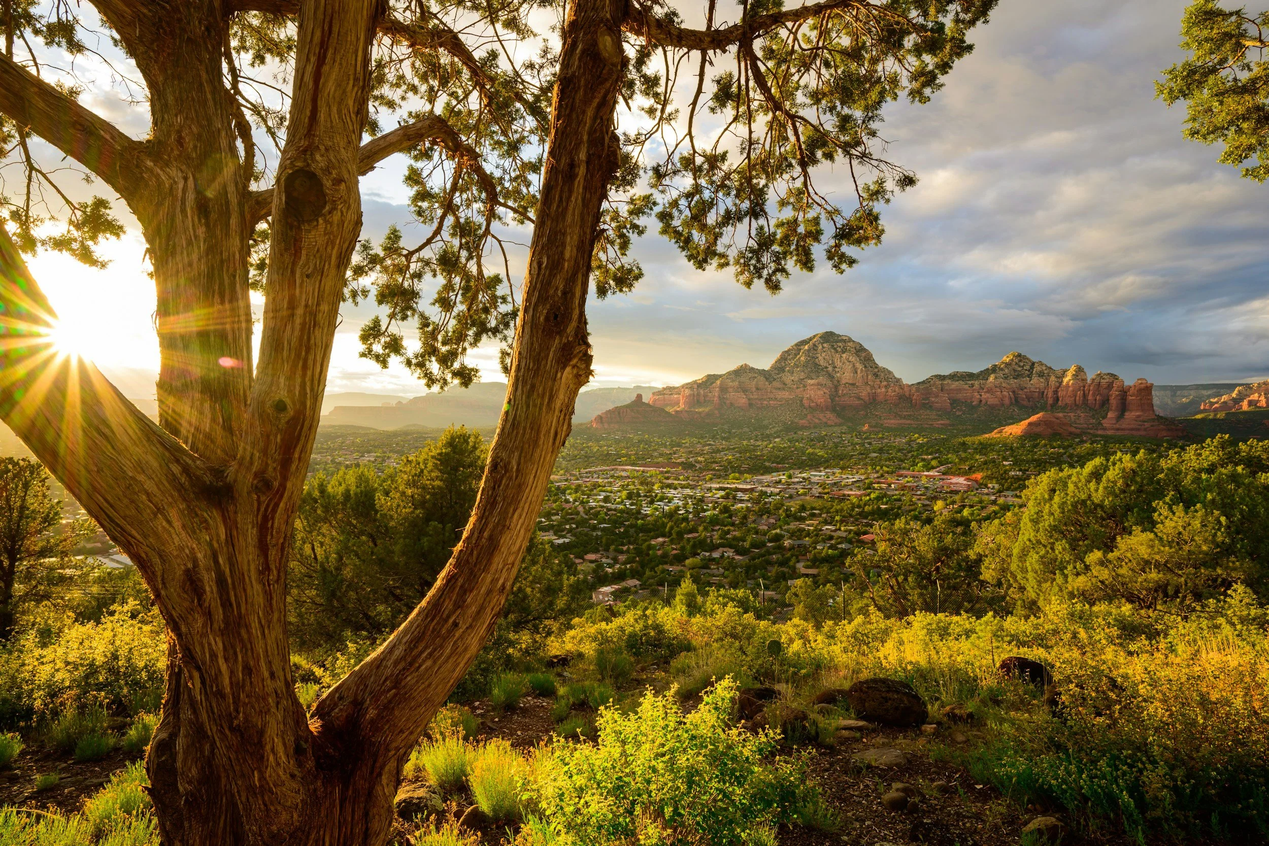 10 Things Only Northern AZ Homeowners Understand