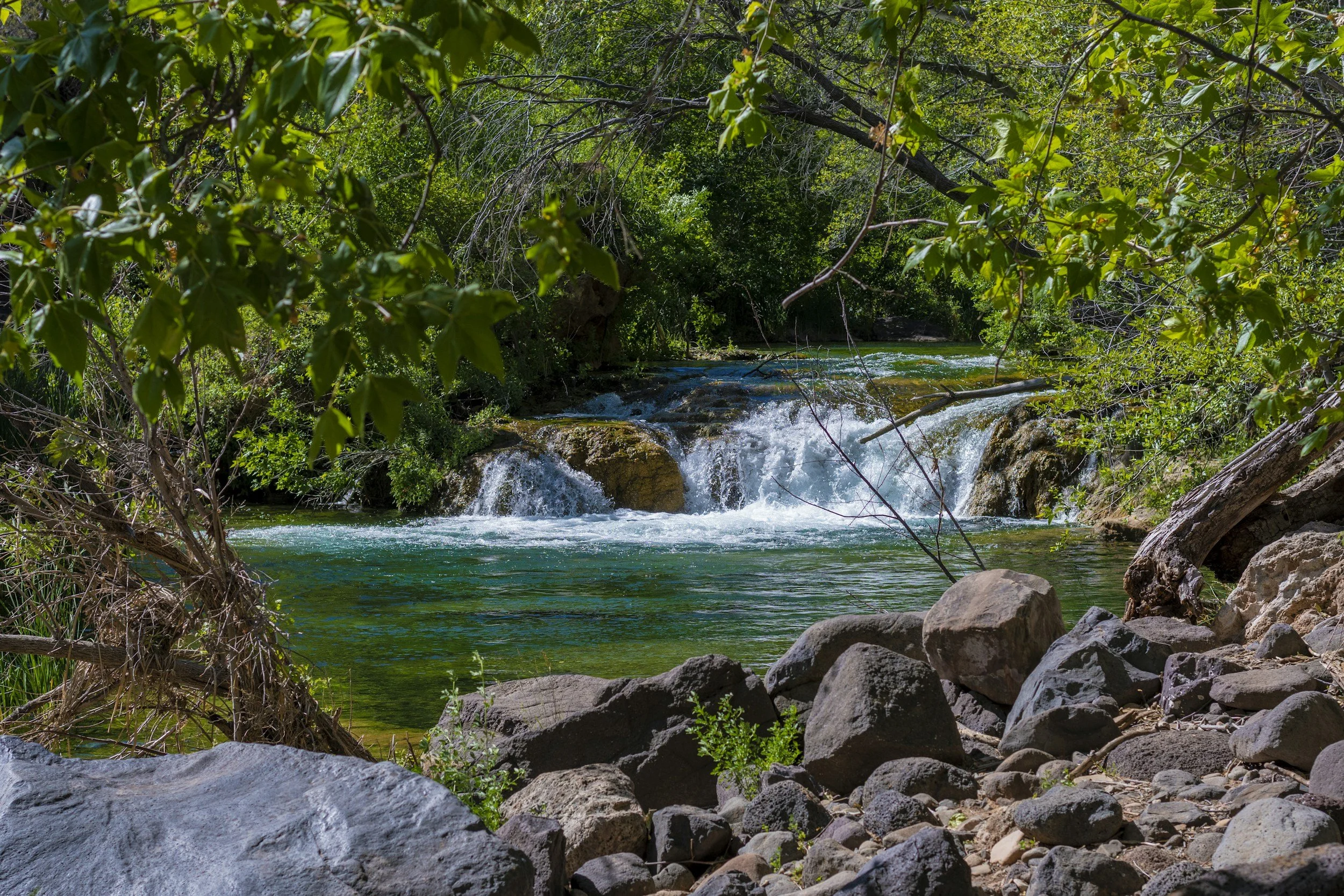 Fossil Creek in Northern Arizona