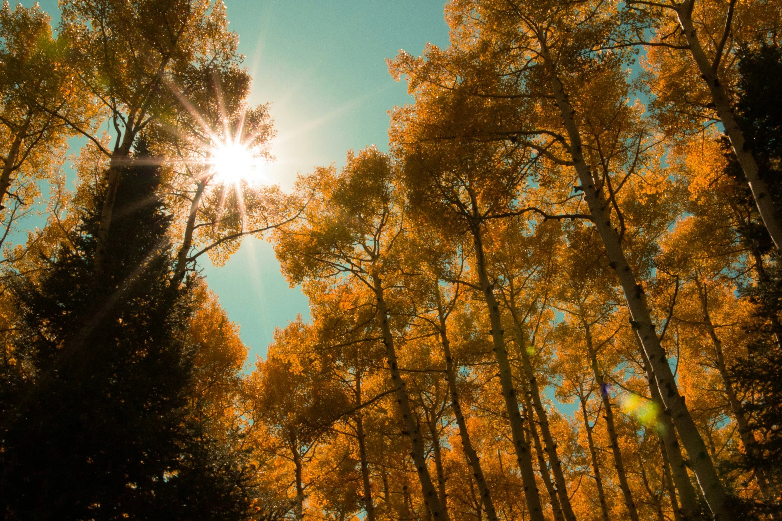 Why Buying or Selling in the Fall Might Be Your Best Move Yet