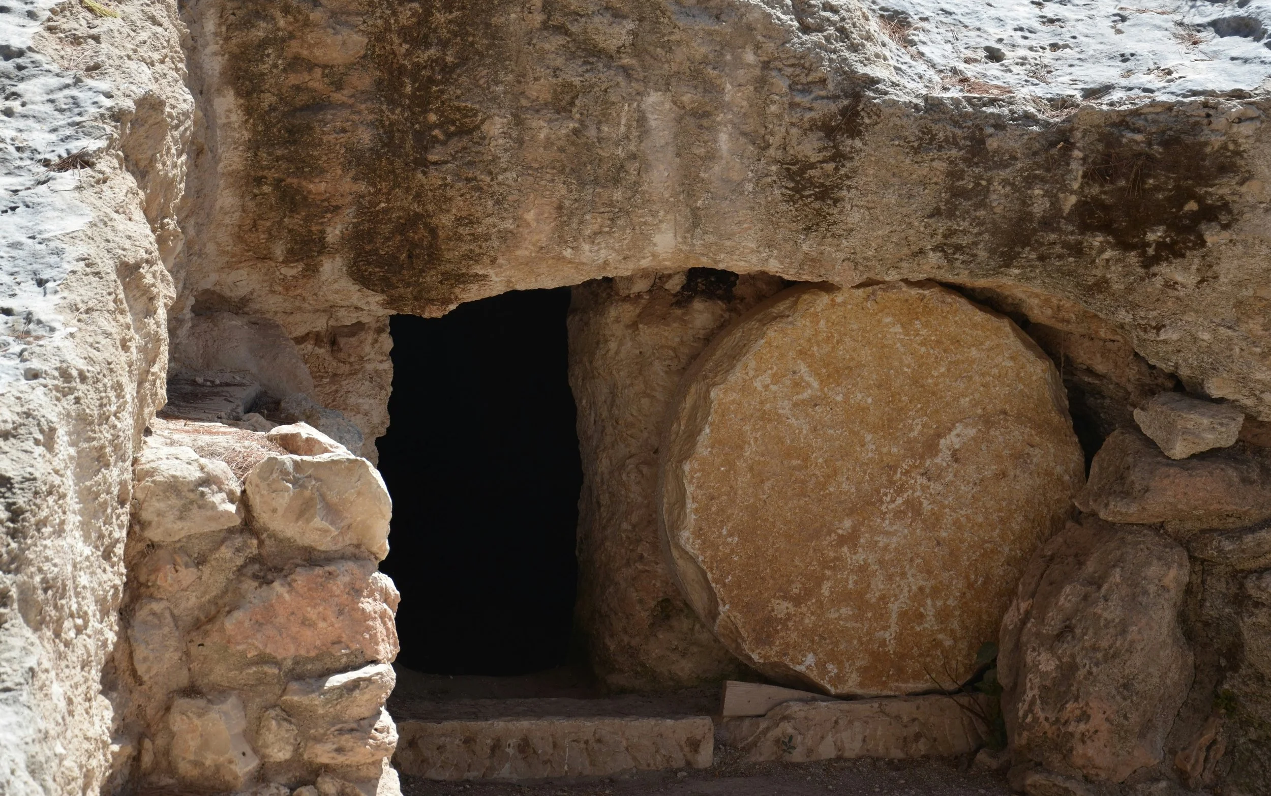 How Many Times Did the Risen Jesus Appear in the New Testament?