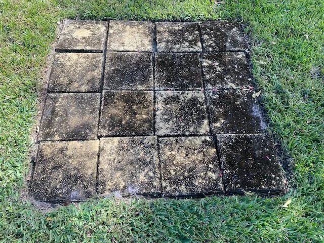 Weathered and dirty square paving stones on grass.