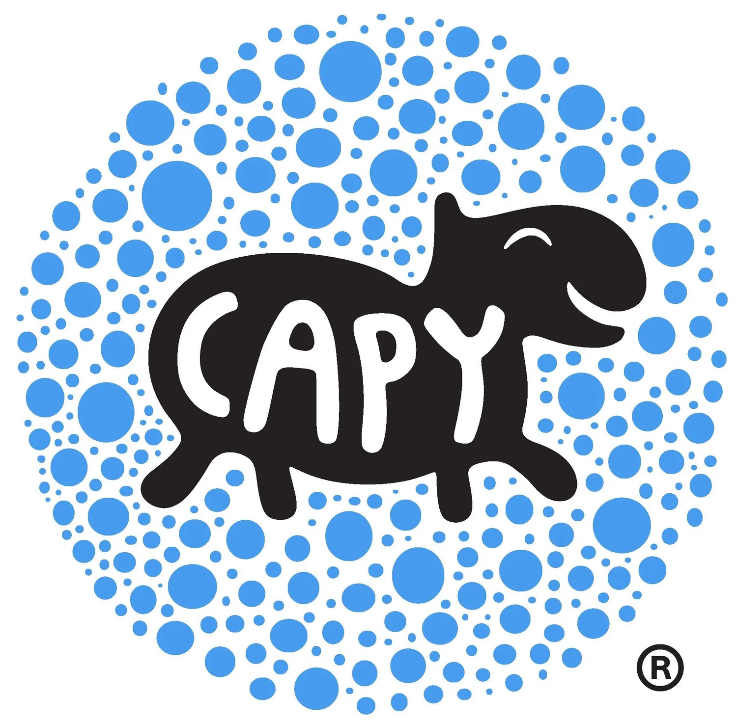 Capy Studios