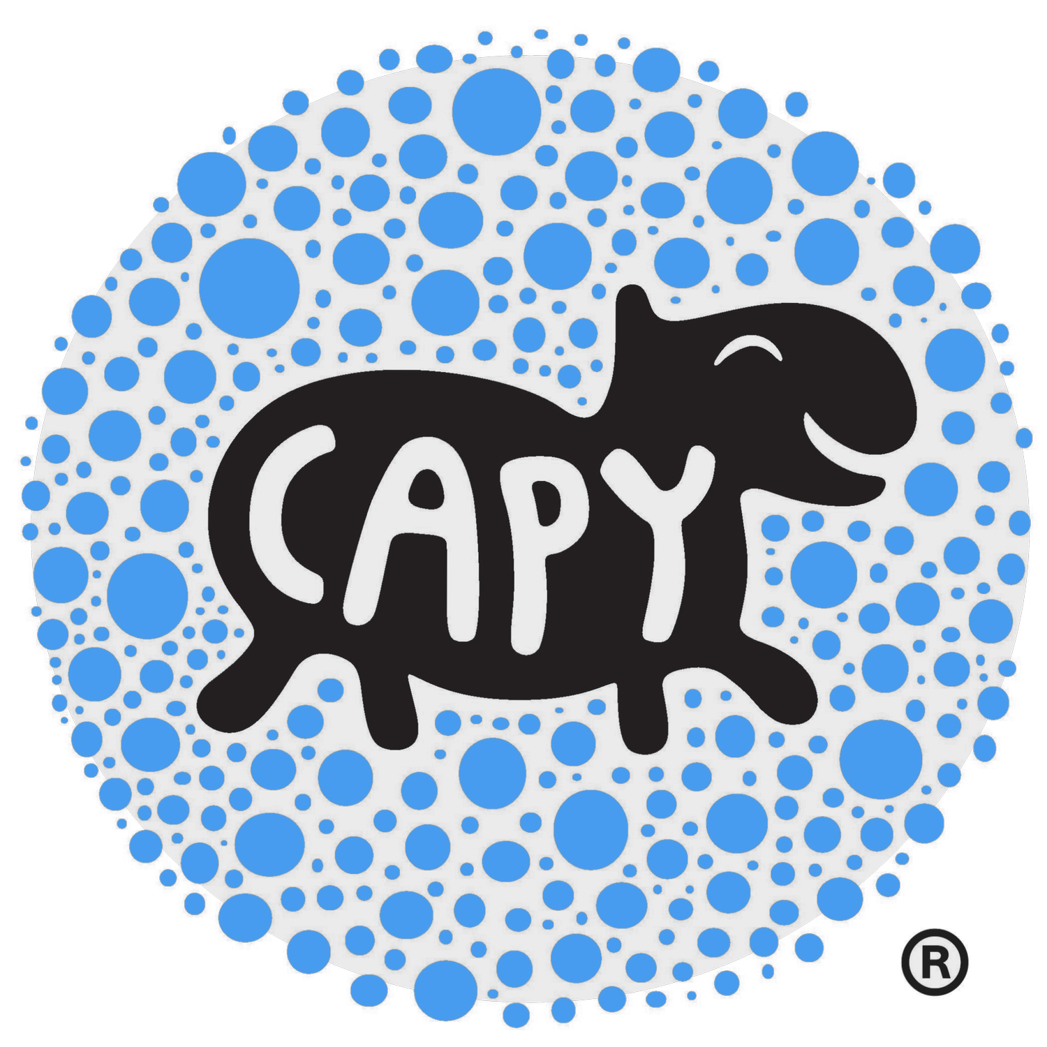 Capy Studios