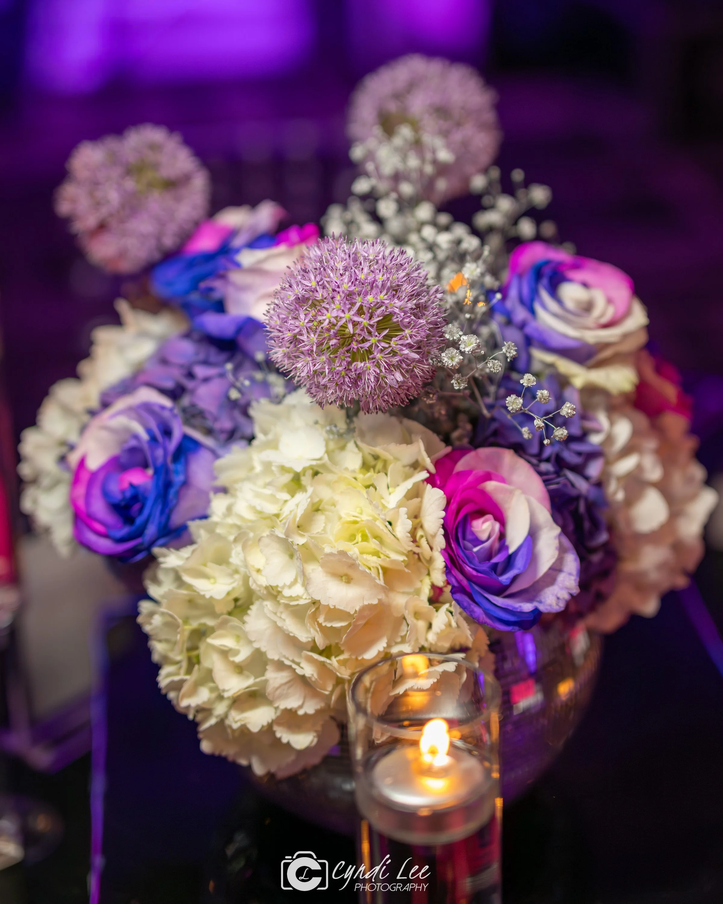 Cyndi Lee Photography LR Events DC DMV-18.jpg
