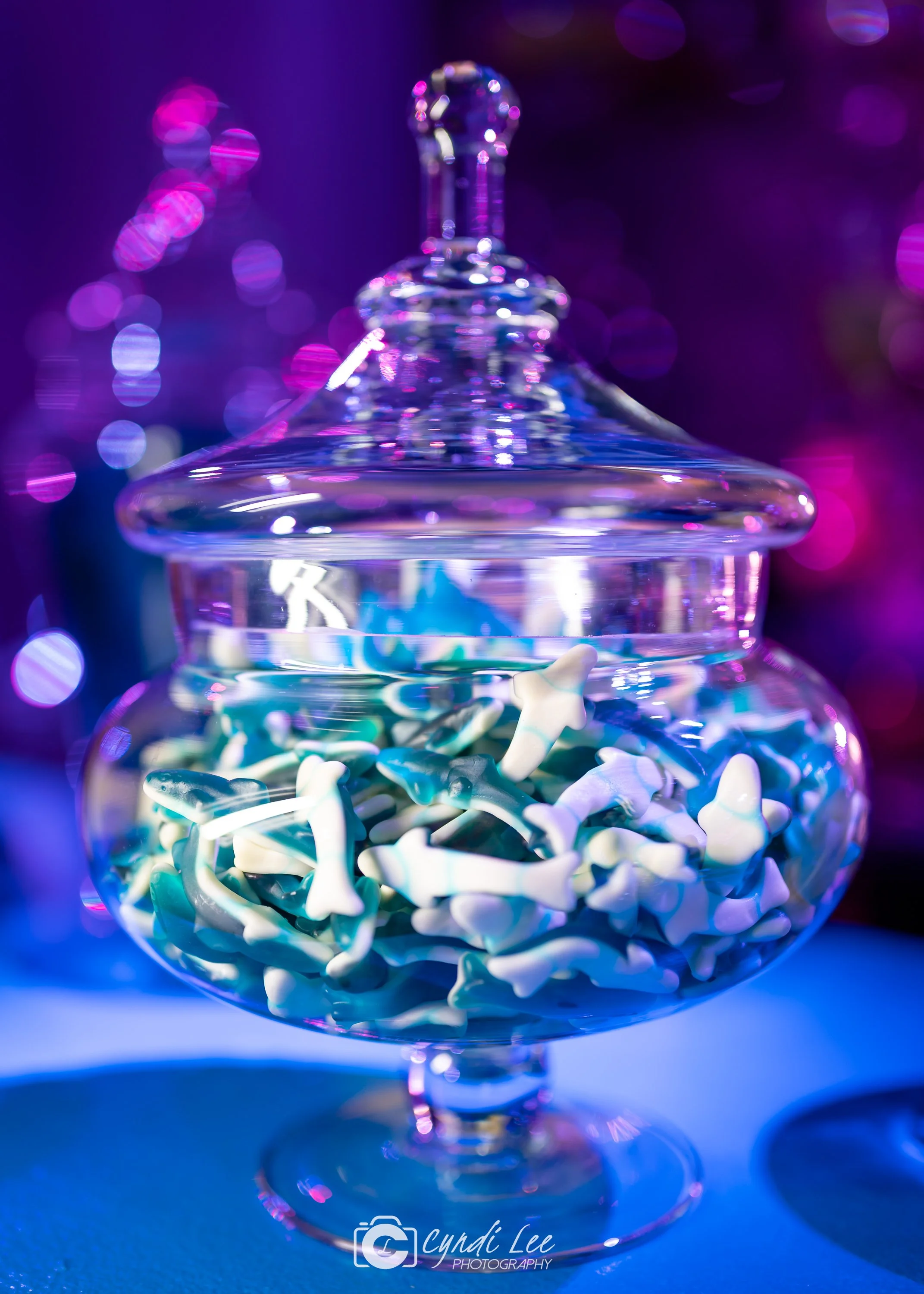 blue shark candy in apothecary jar