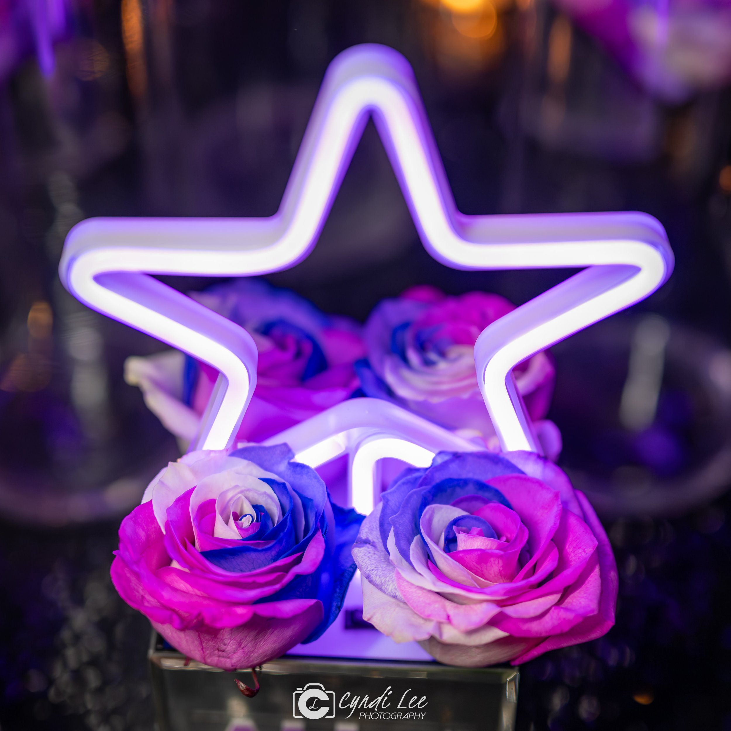 Cyndi Lee Photography LR Events DC DMV-16.jpg