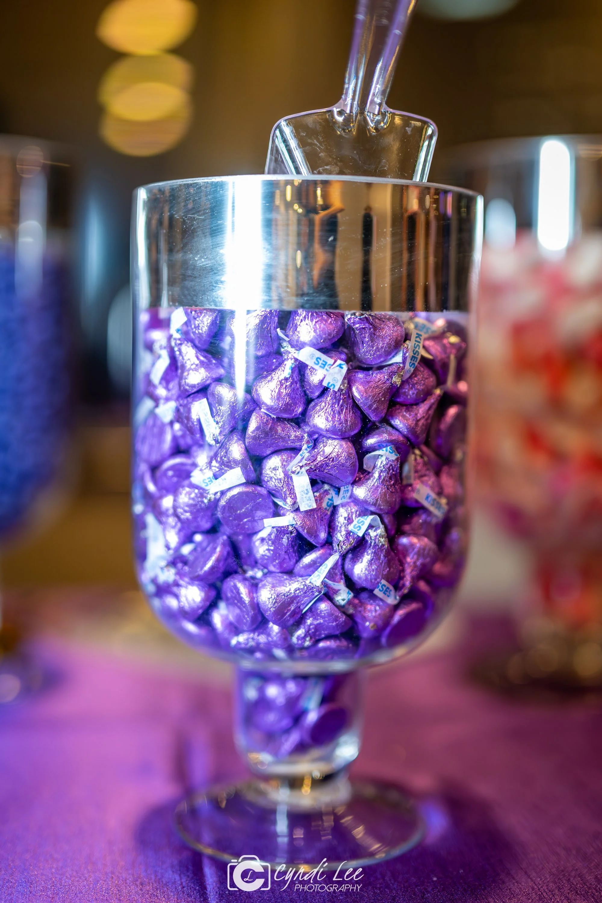 Cyndi Lee Photography LR Events DC DMV-161.jpg