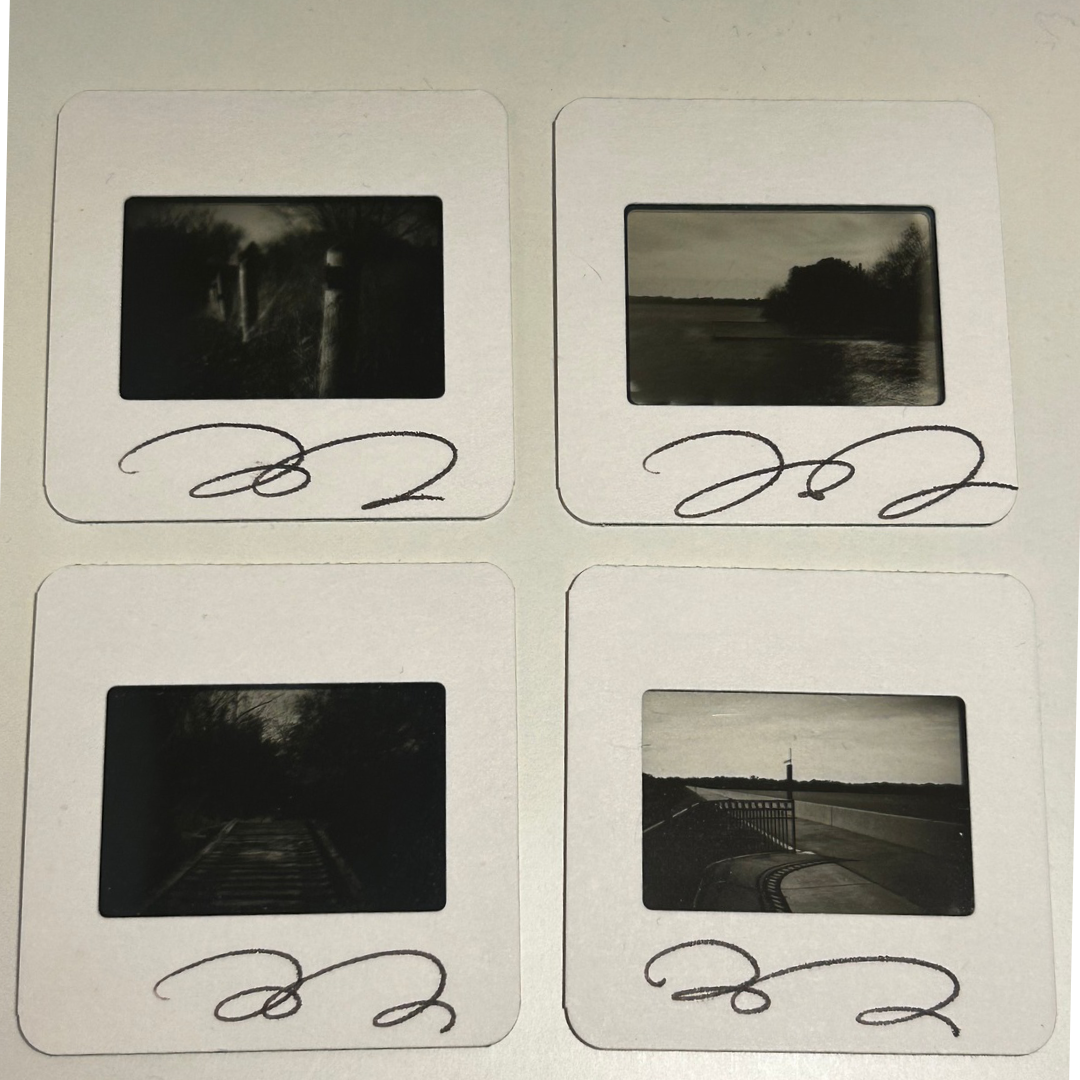 Untitled Design-8 copy 5.png