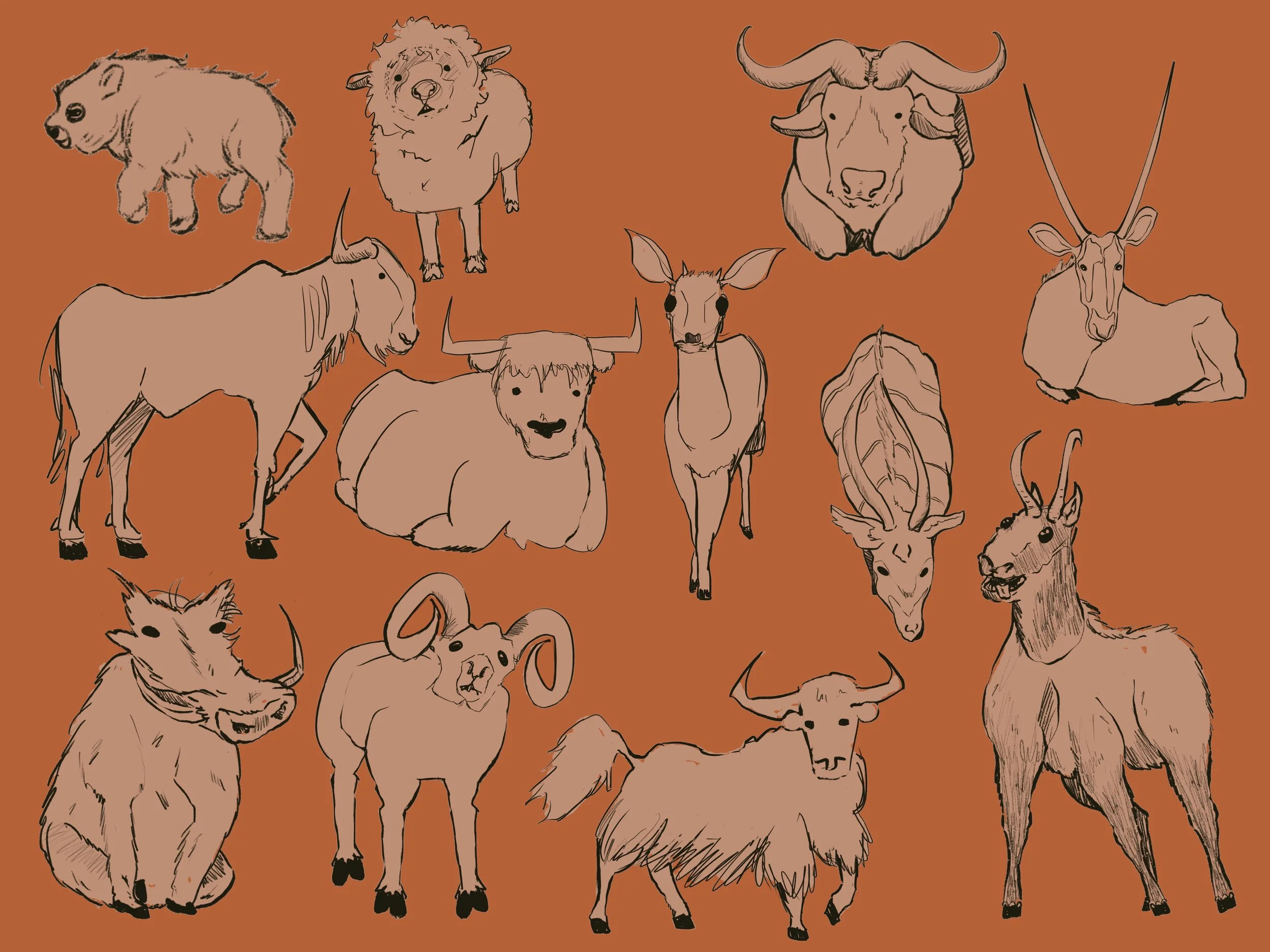 SAV_202330_ILLU351_Orion_Styles_A5_Bovidae.jpeg