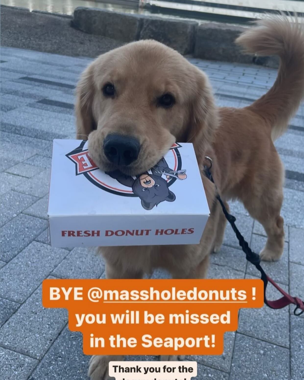 Thank you to all of you 2-legged and 4-legged customers who made us feel welcome in The Seaport. Donut fret if you live in the Seaport you&rsquo;ll be able to find us popping up at @jameshooklobster during the Summer and at our dream location in anot