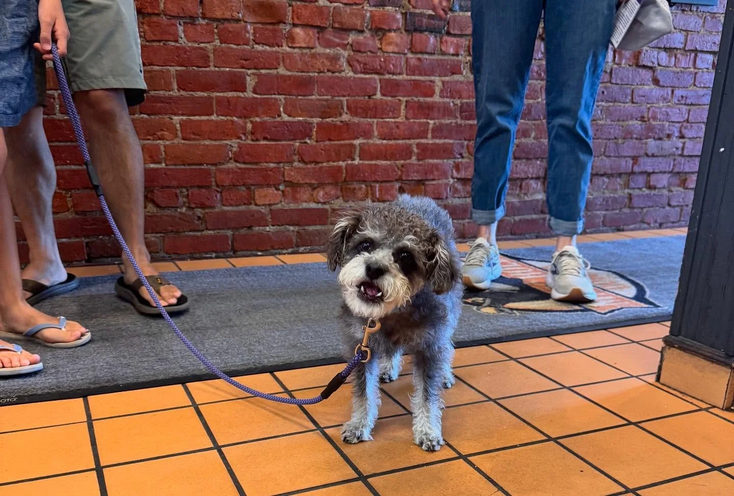 First dogs of the day!