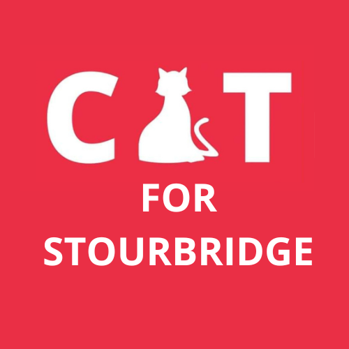 Cat for Stourbridge