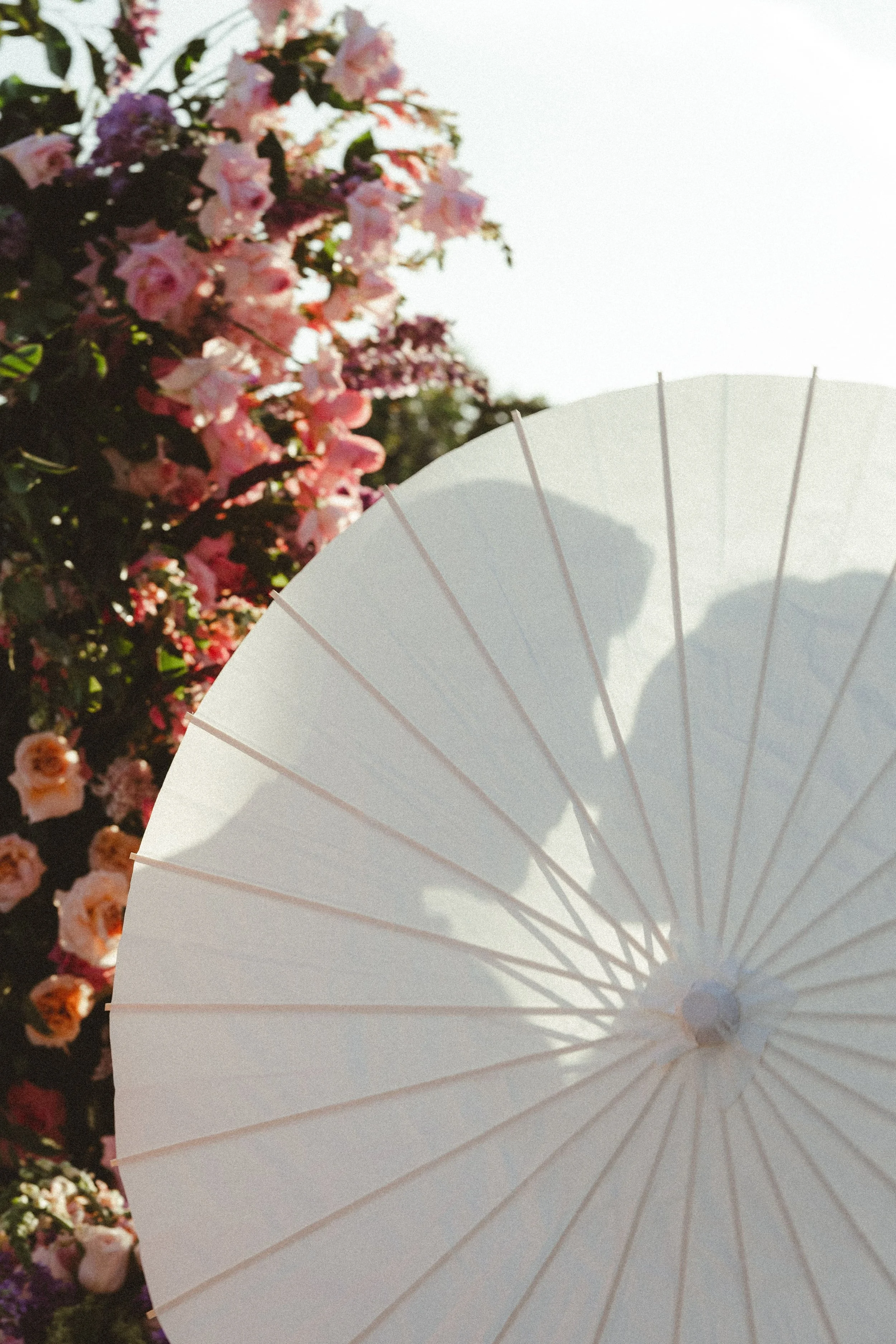 A white paper parasol partially covering pink and purple flowers with green leaves, set outdoors against a bright sky, with the silhouette of a married couple looking at each other.