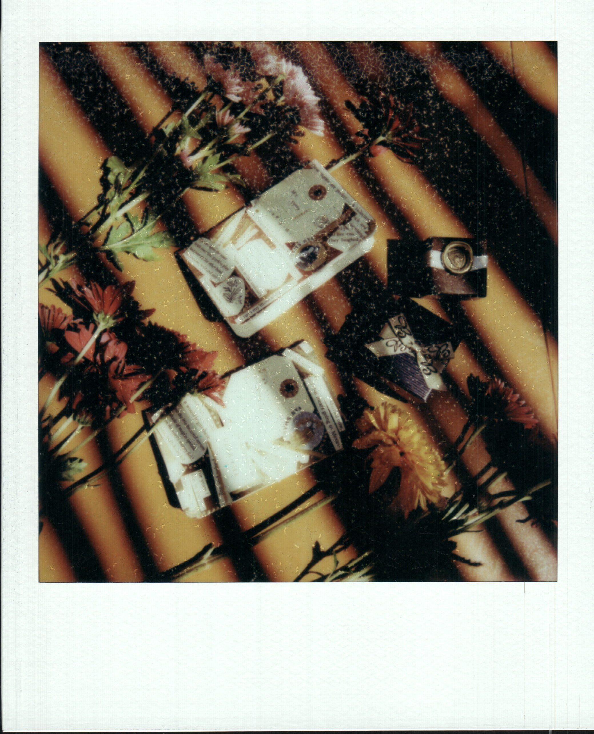 M&Z_014.jpg