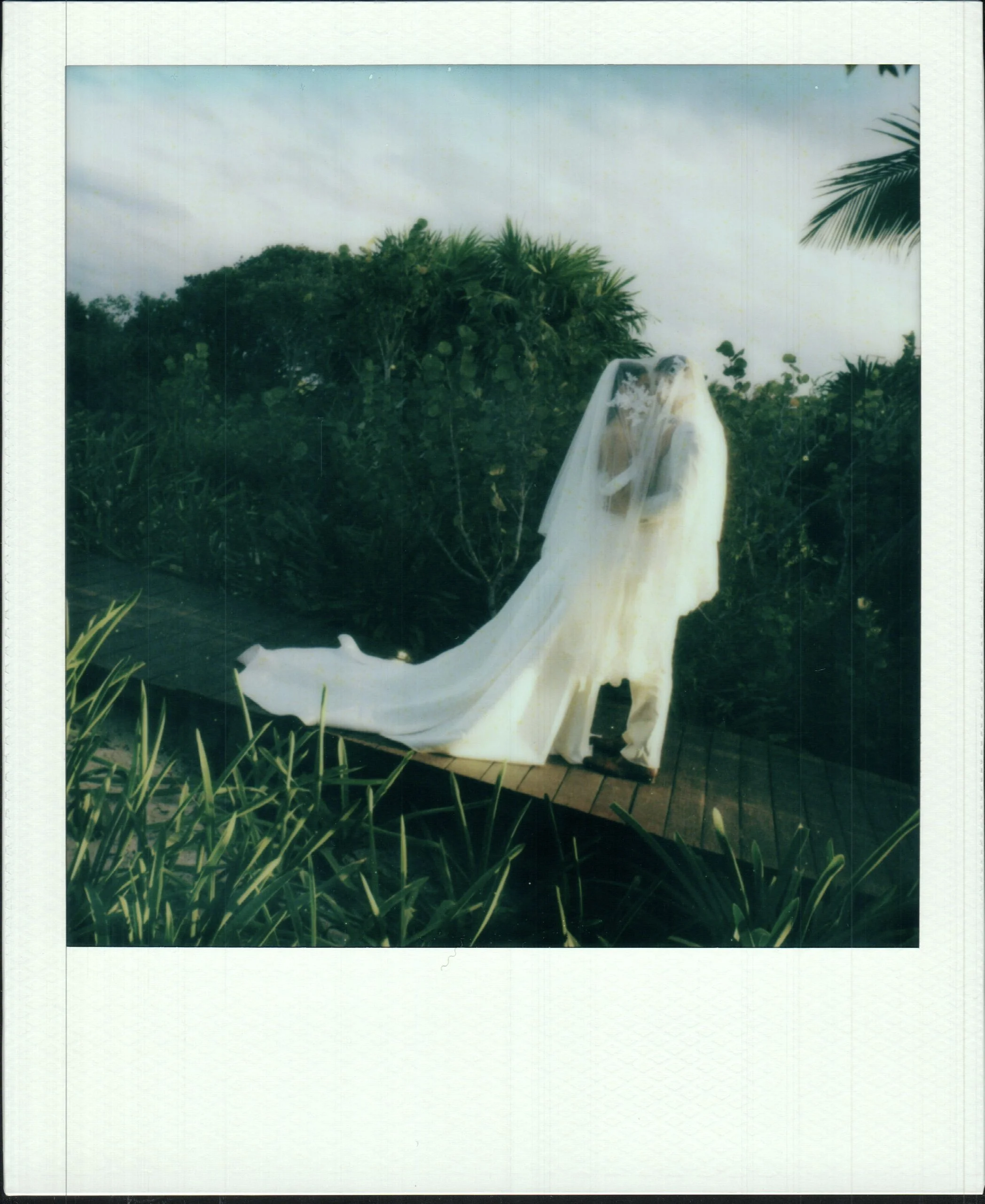 A vintage photographic print showing a white wedding dress draped over a chair outdoors among lush green foliage and trees with a cloudy sky in the background.