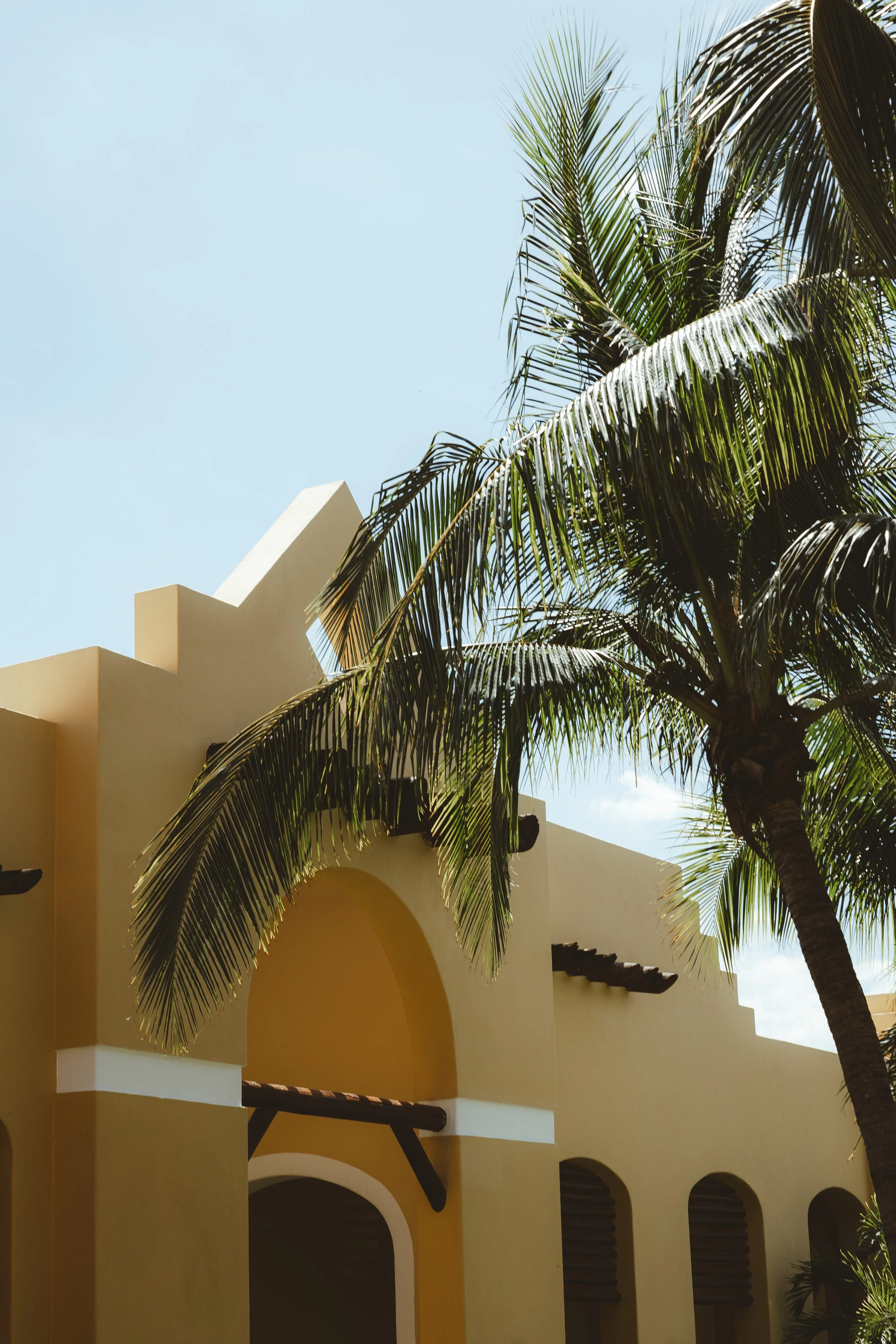 Sunlit yellow building with an arched doorway and dark wooden accents, partially obscured by a tall palm tree, under a clear blue sky.
