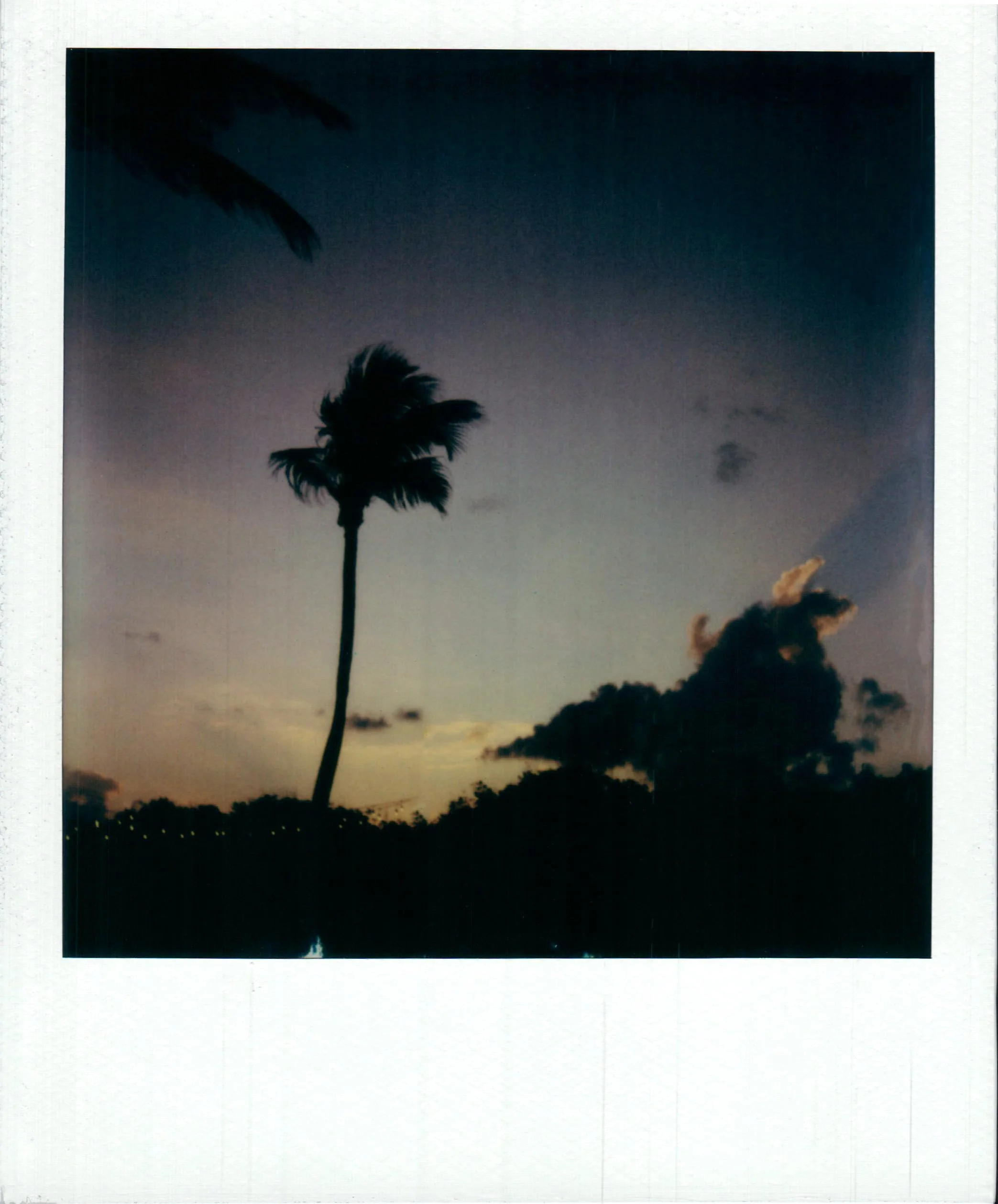 H&L_016.JPG