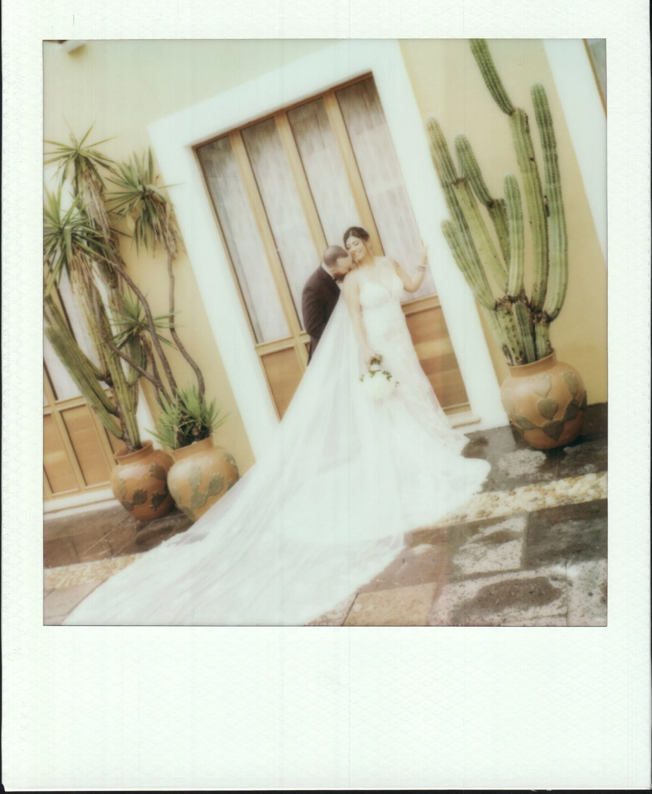A bride and groom in wedding attire standing in front of large potted cacti, with the groom leaning in to kiss the bride's cheek.