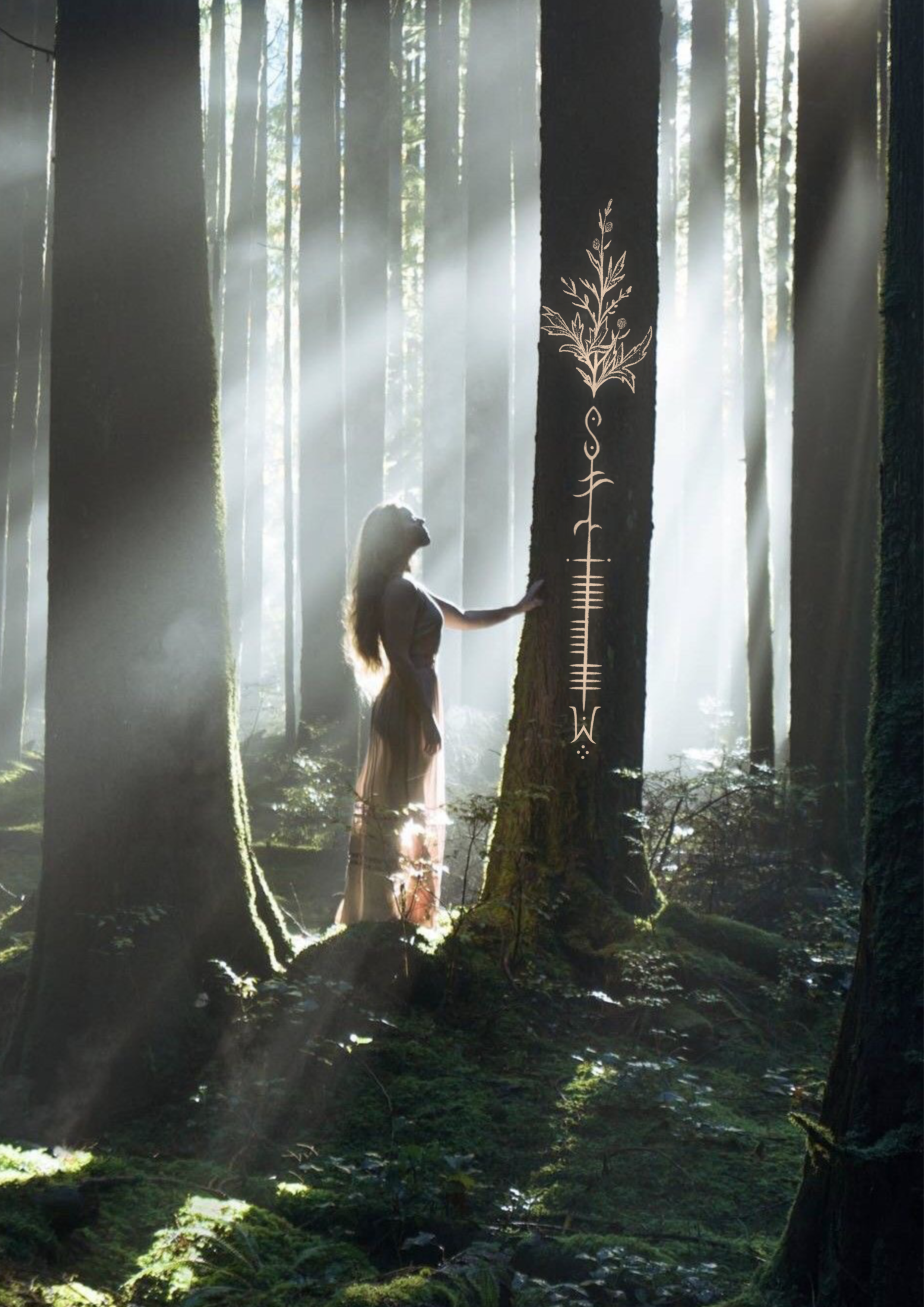 Untitled_Artwork 2.PNG