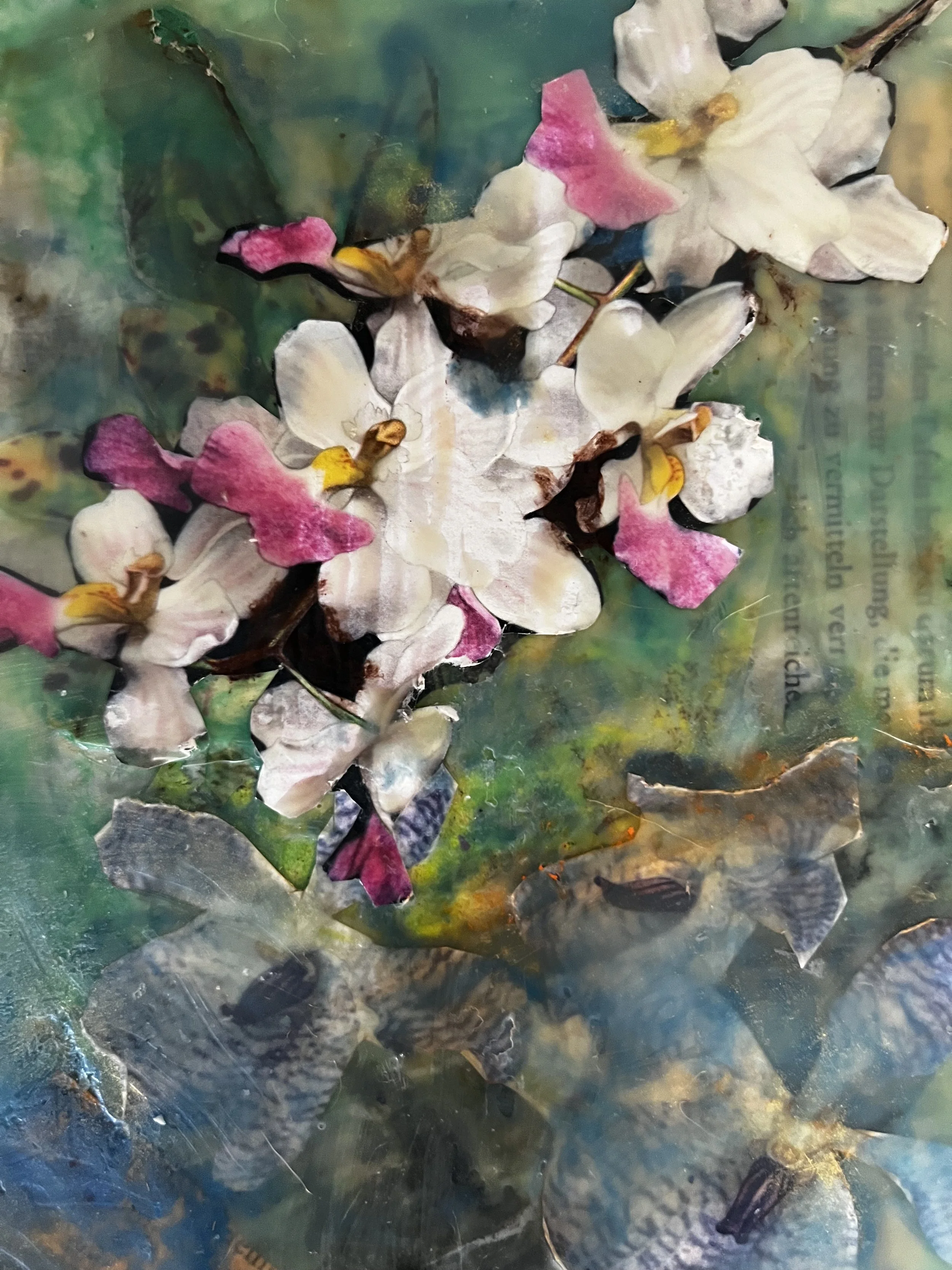 Orchid Garden, 9.5X11 Framed, Encaustic Collage, $250.