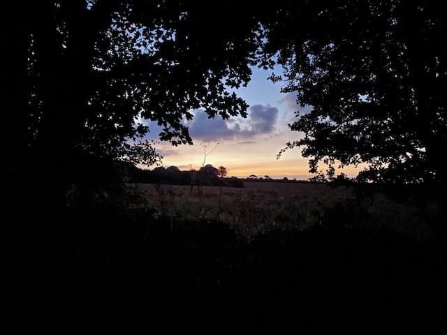 IMG_5503 (1).jpeg