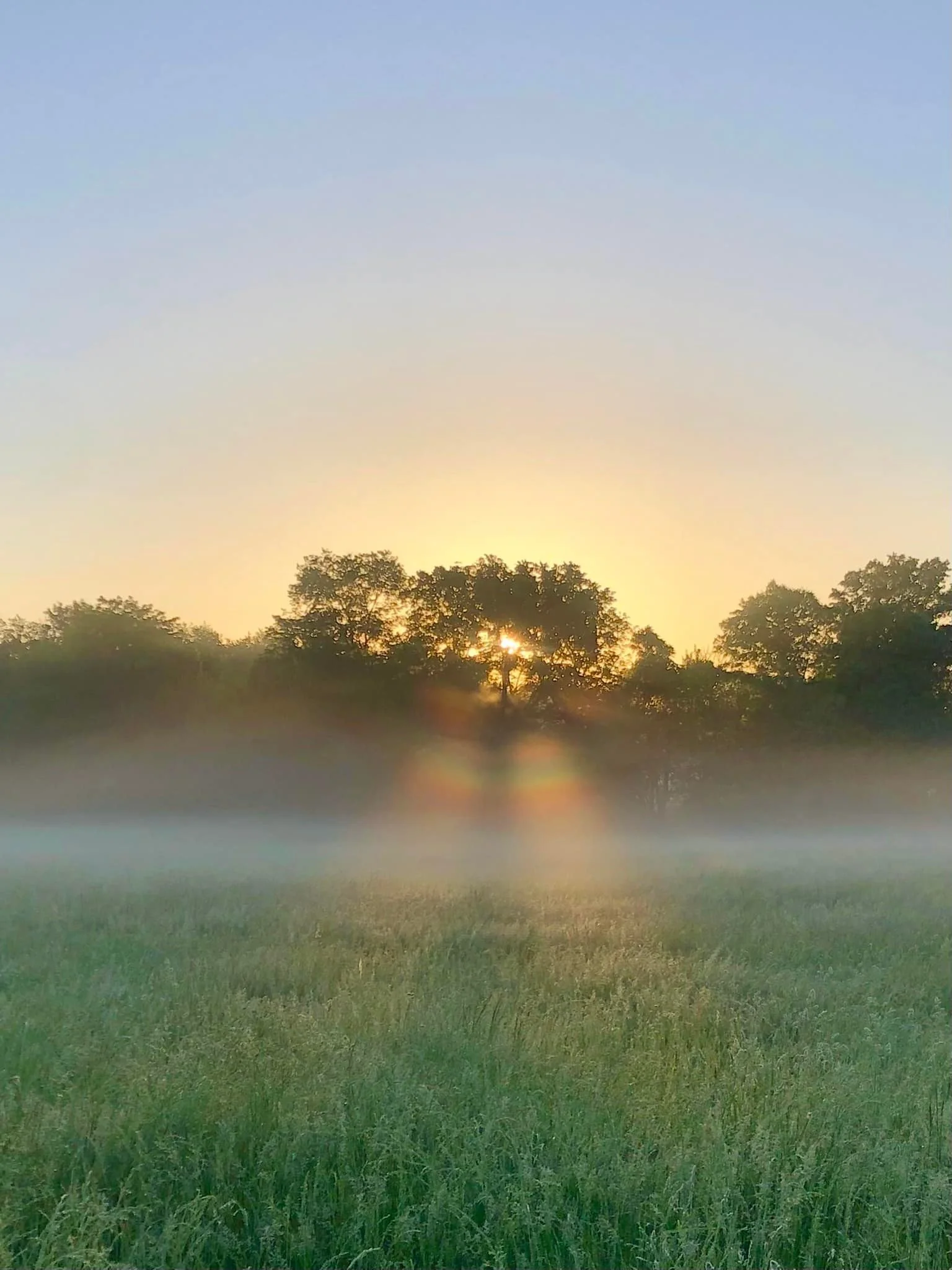 Fresh Talks: How can we train to get out of our heads?